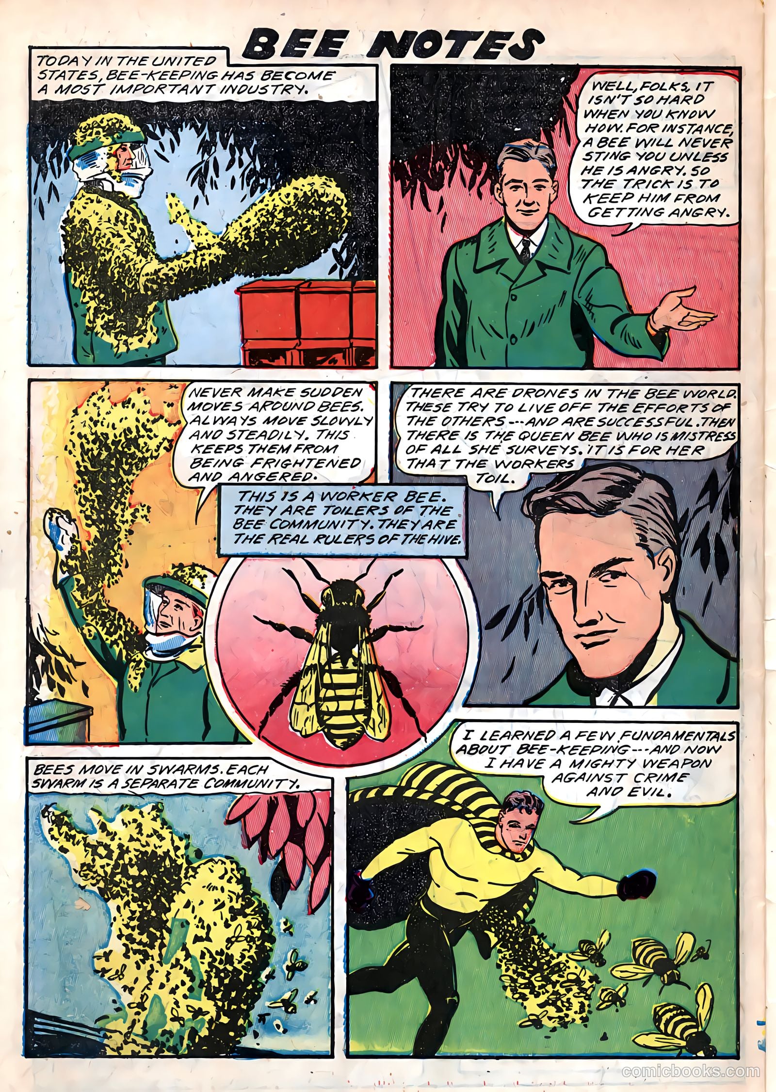 Yellowjacket Comics #6 — page 50 of 52