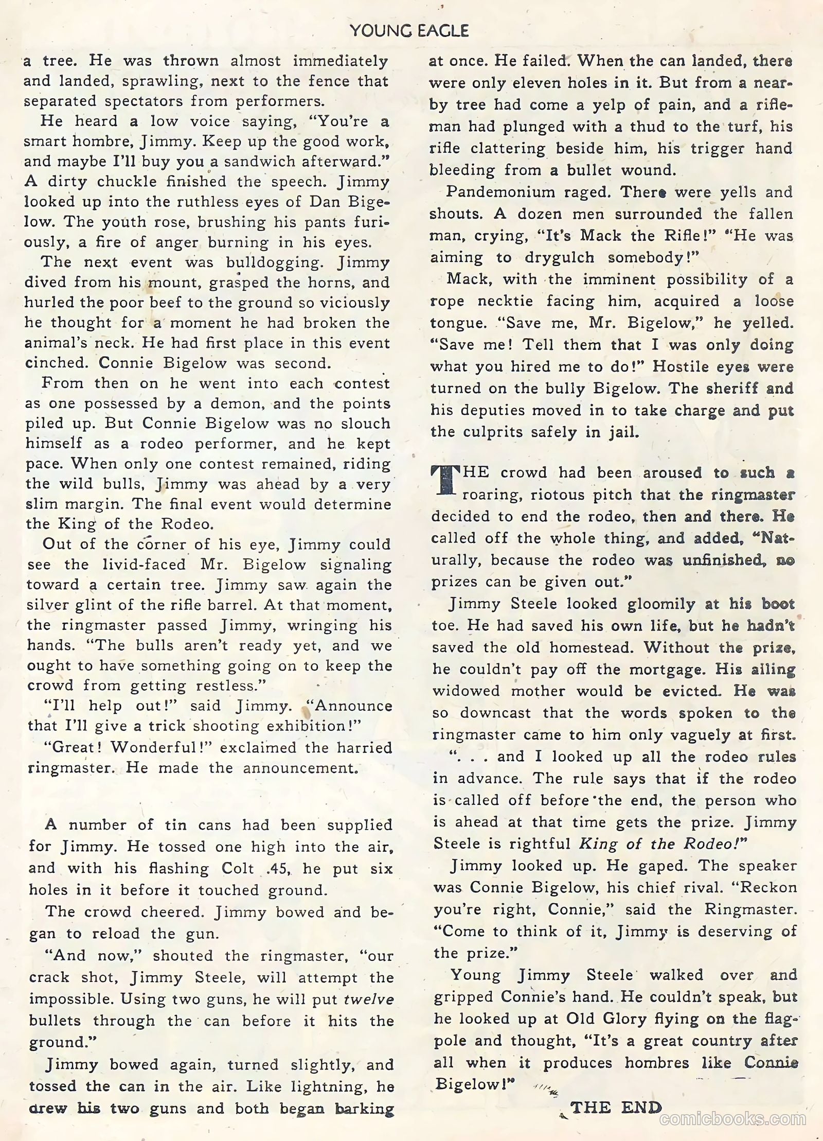 Young Eagle #1 — page 27 of 36