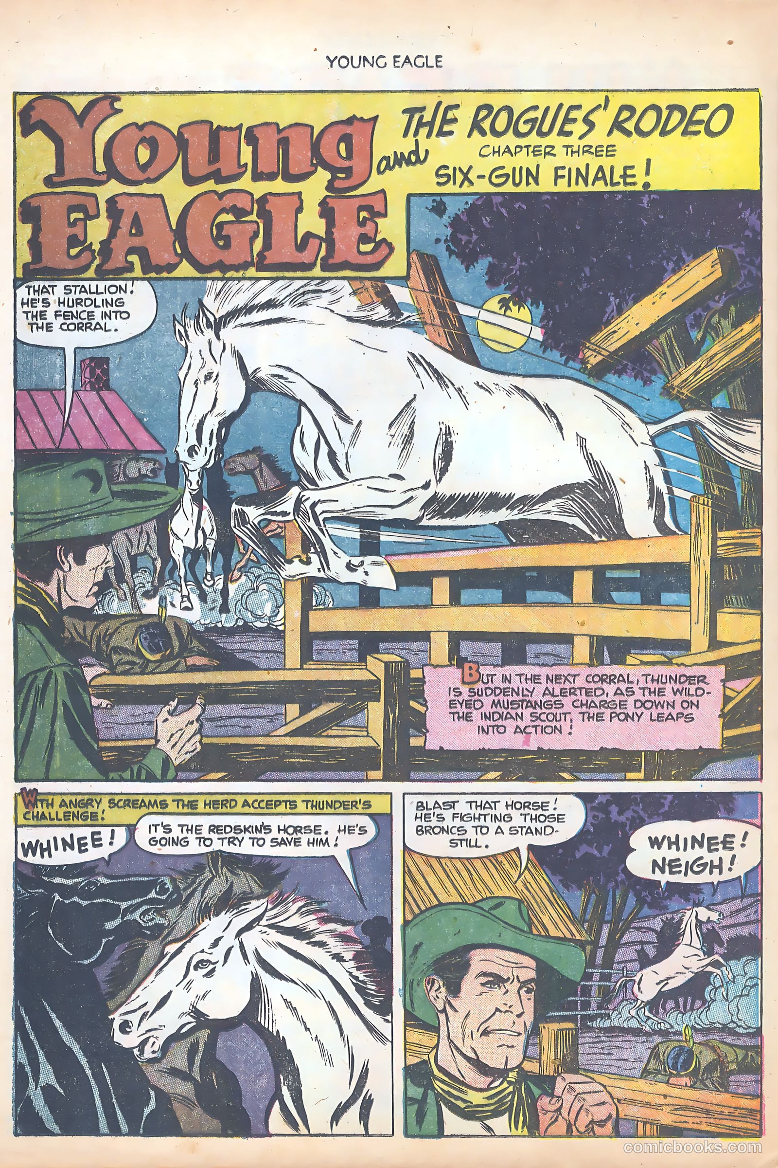 Young Eagle #8 — page 28 of 36