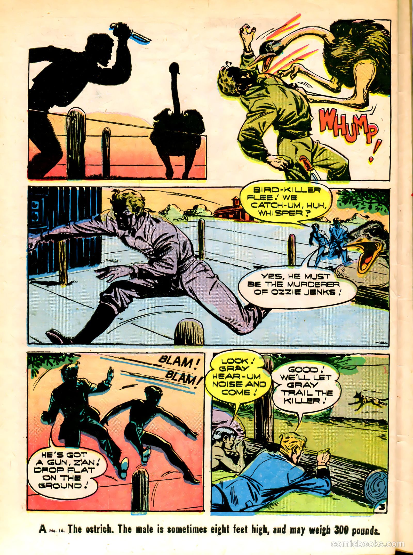 Young King Cole #10 — page 44 of 52