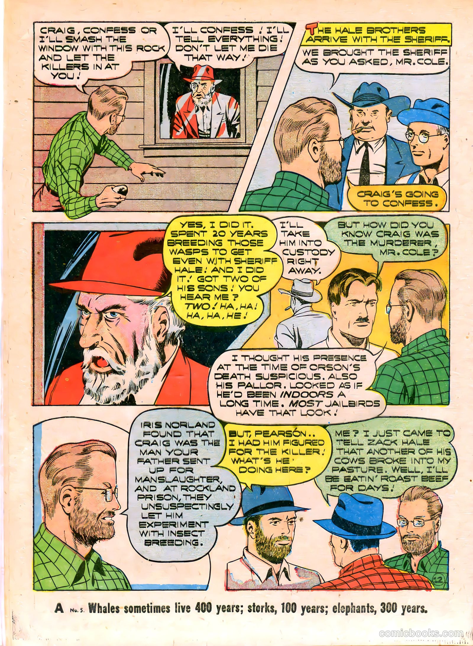Young King Cole #8 — page 15 of 53