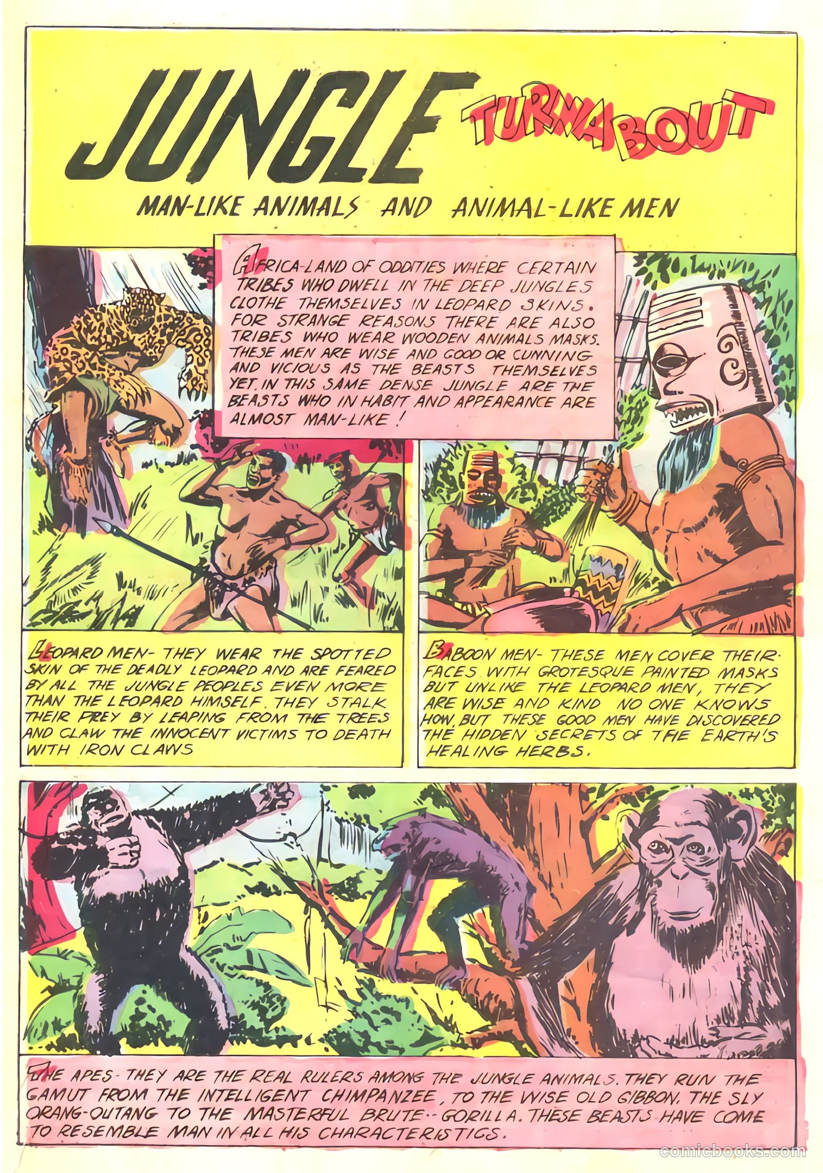 Zegra #2 — page 34 of 37