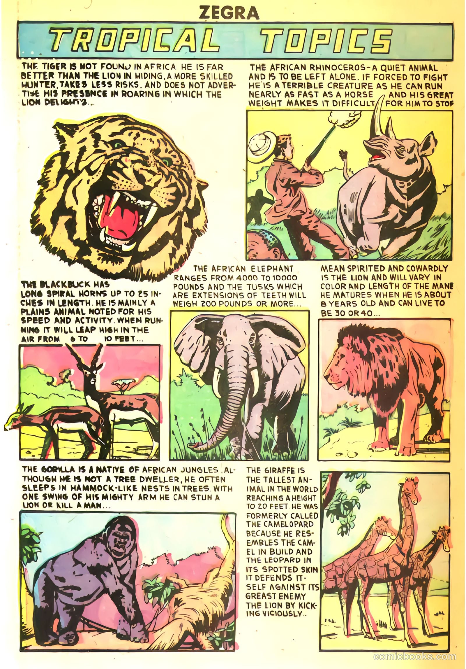 Zegra #3 — page 26 of 36