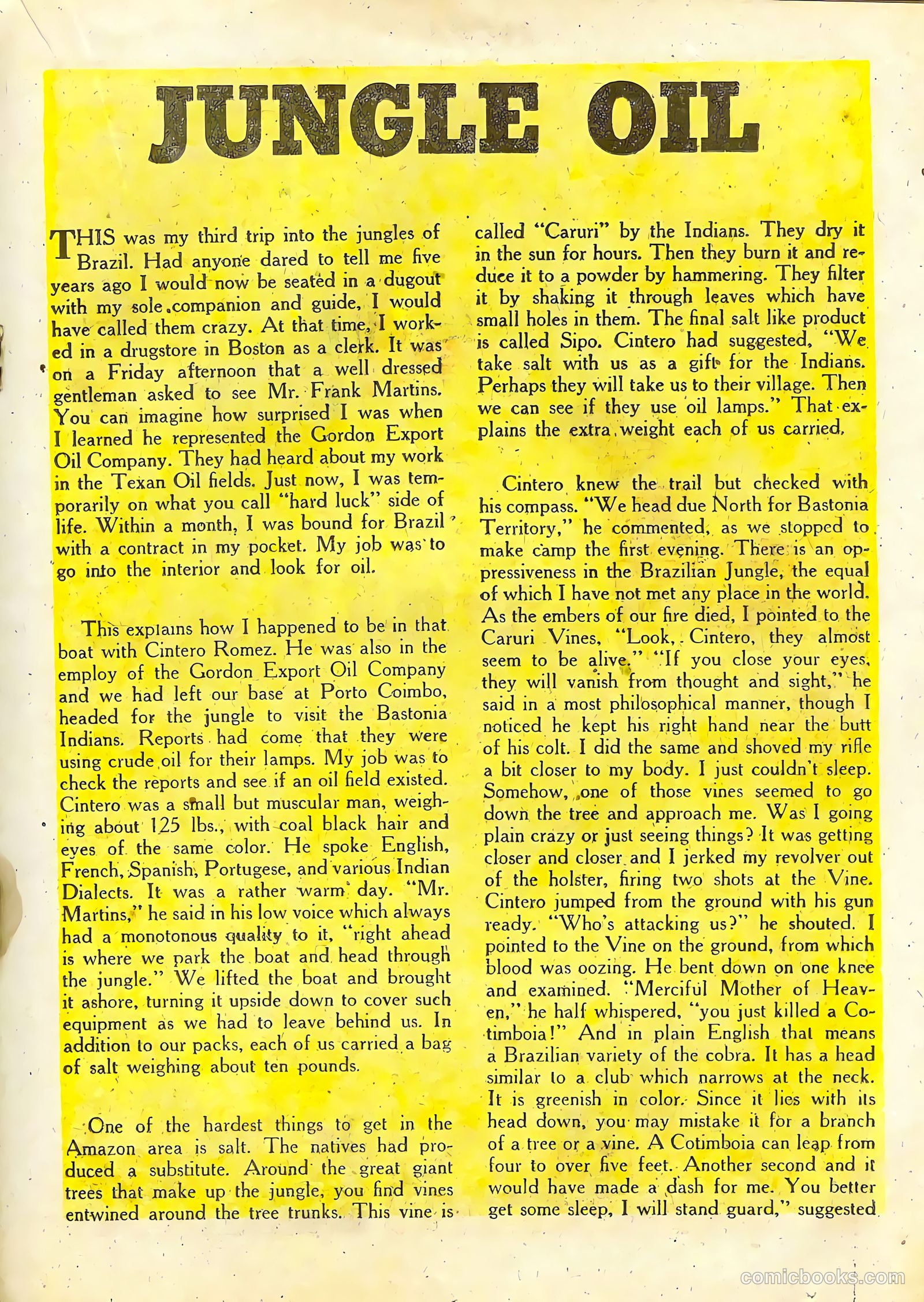 Zegra #5 — page 21 of 36