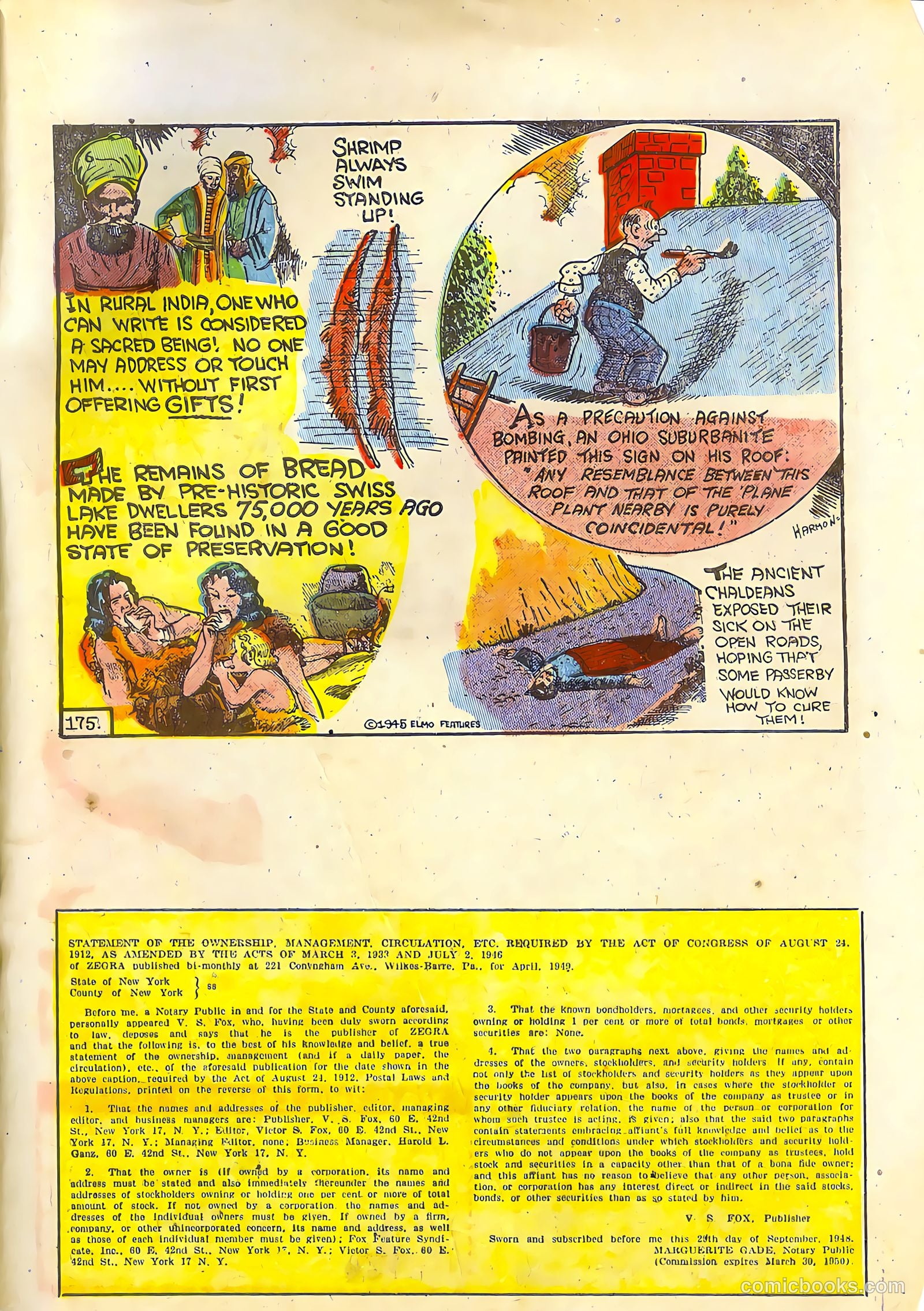 Zegra #5 — page 33 of 36