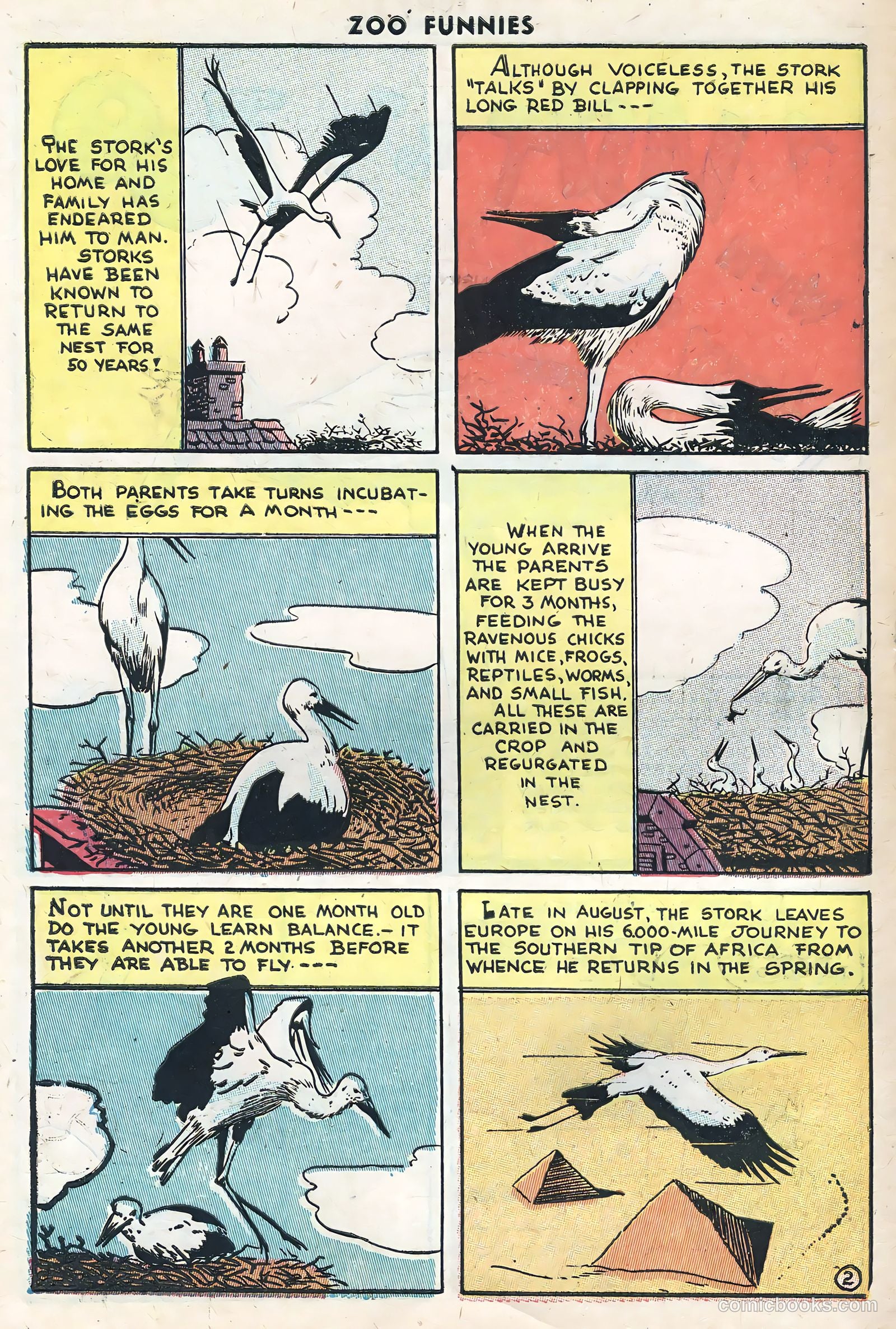 Zoo Funnies #10 — page 10 of 36