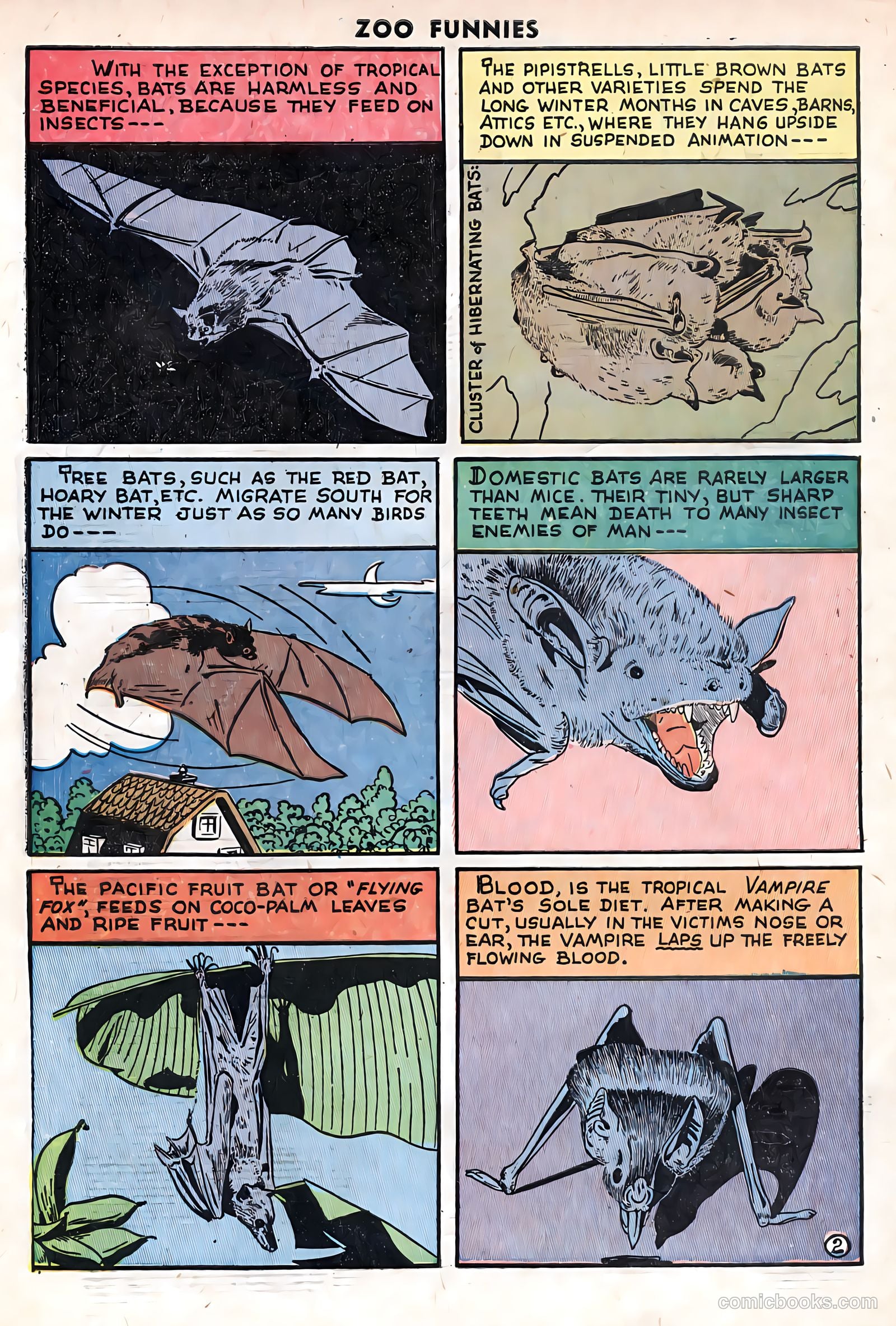 Zoo Funnies #11 — page 34 of 35