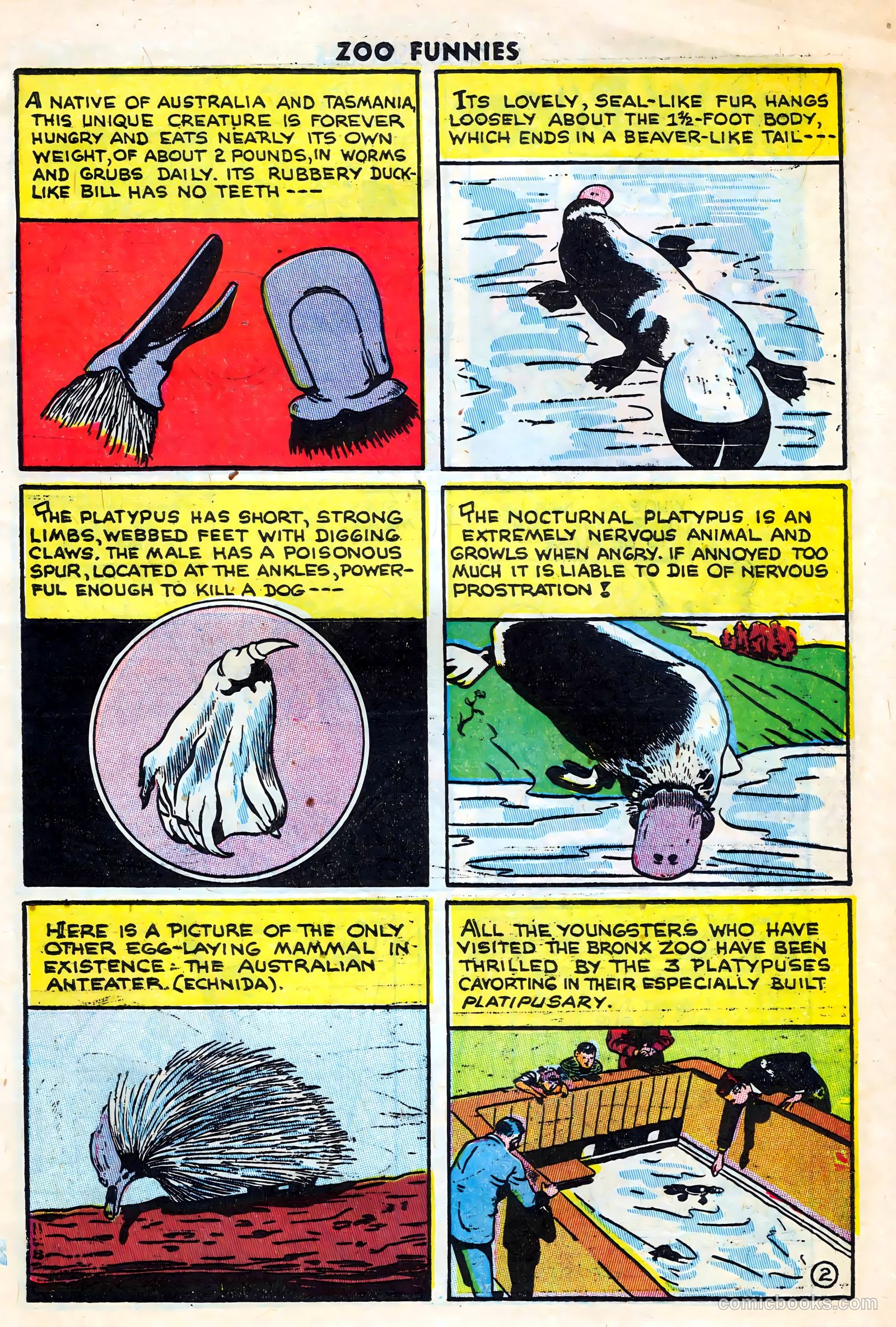 Zoo Funnies #14 — page 9 of 36