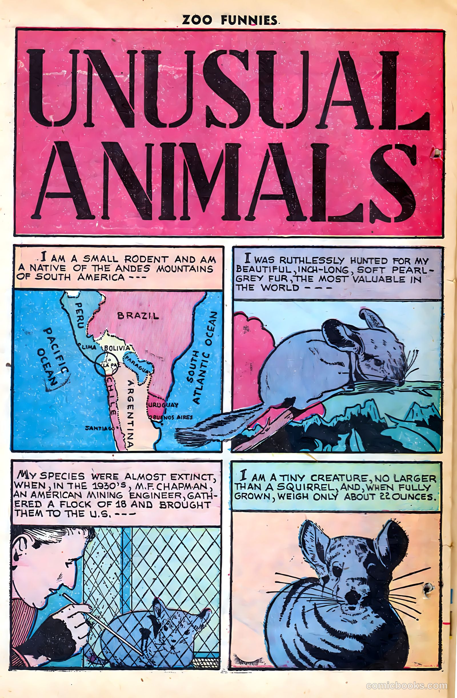 Zoo Funnies #15 — page 24 of 36