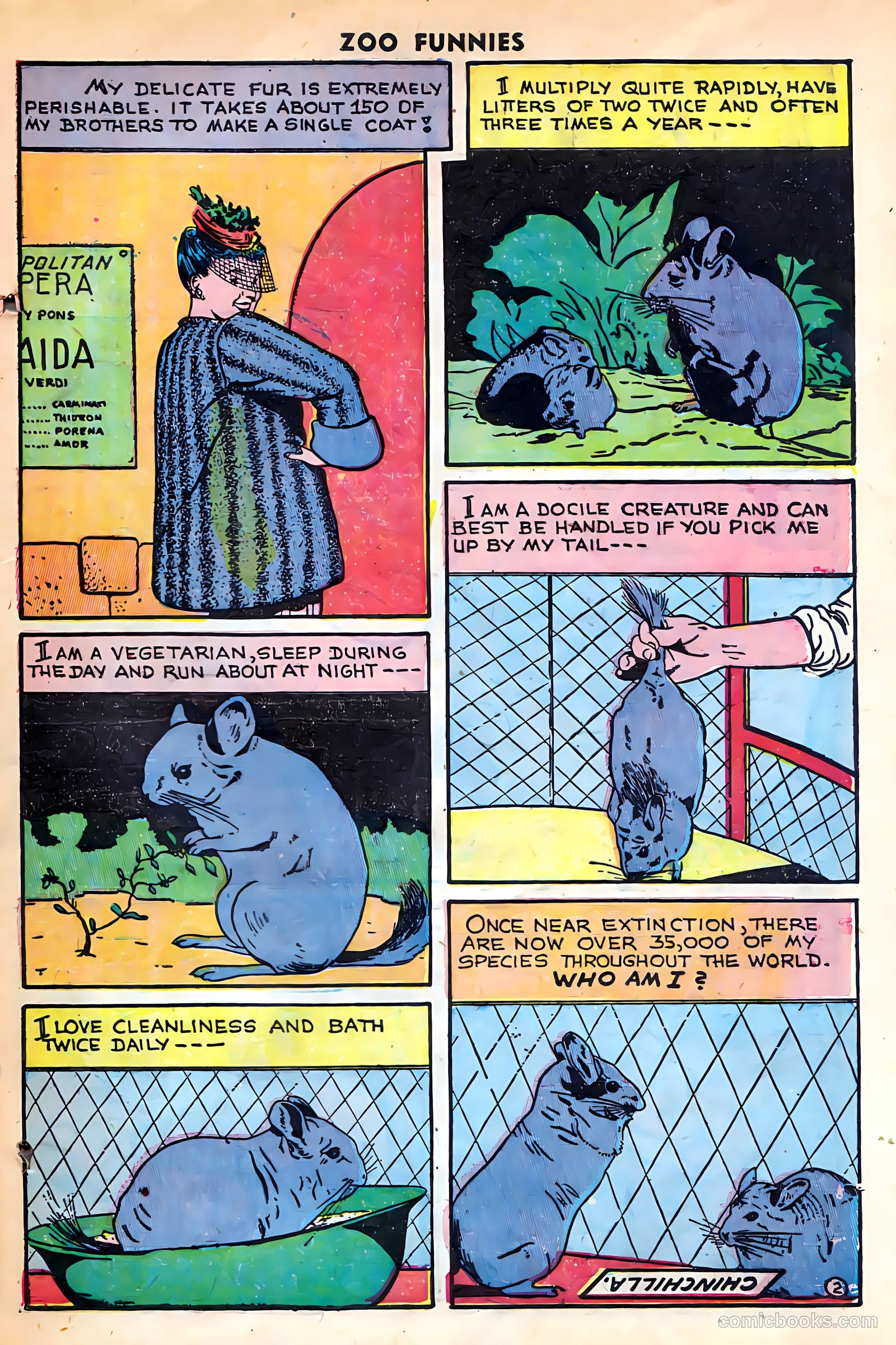 Zoo Funnies #15 — page 25 of 36
