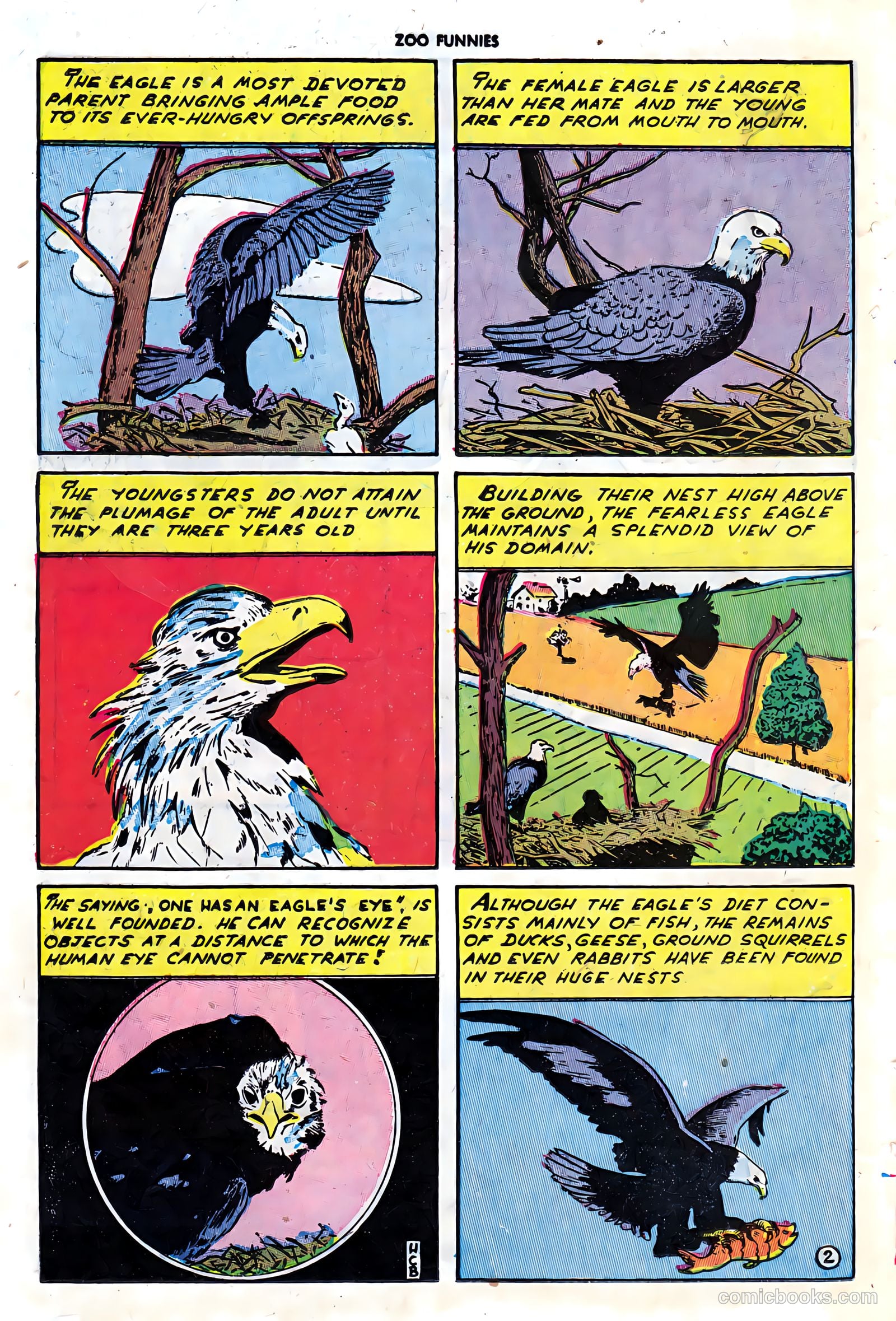 Zoo Funnies #7 — page 24 of 52