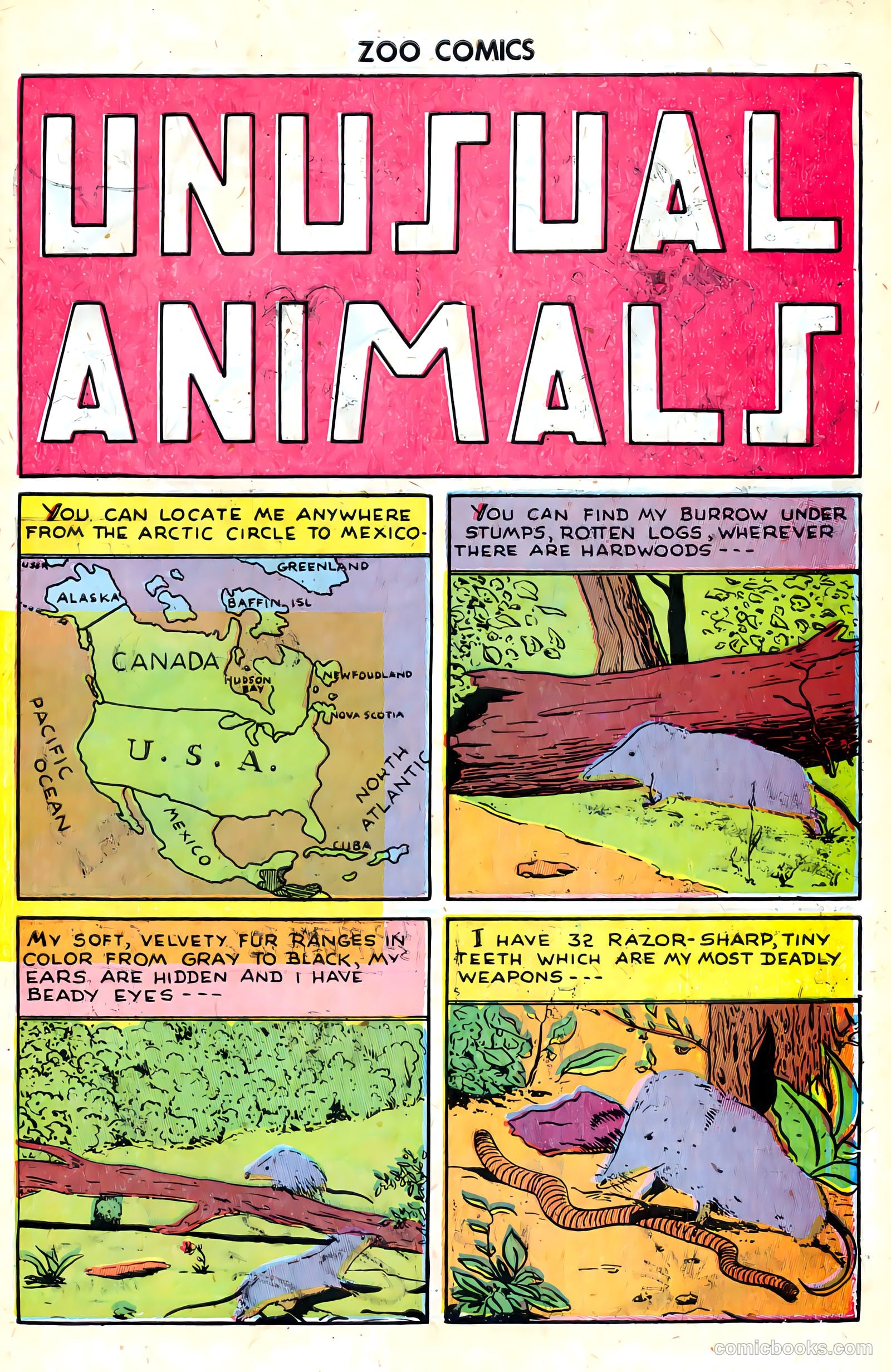 Zoo Funnies #8 — page 41 of 52