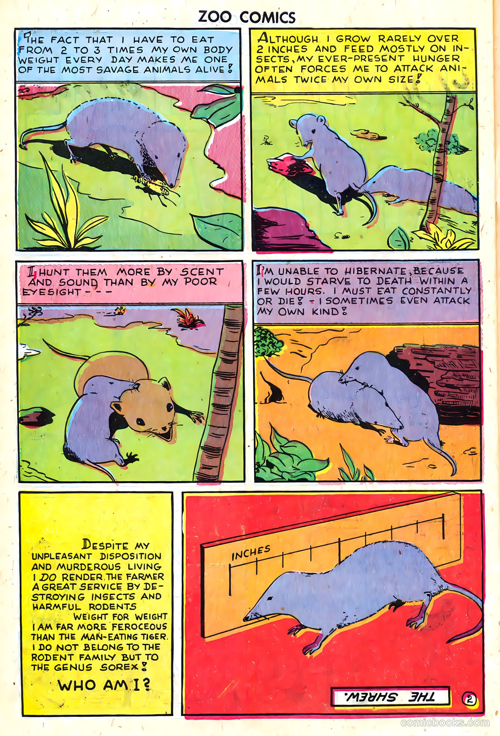 Zoo Funnies #8 — page 42 of 52