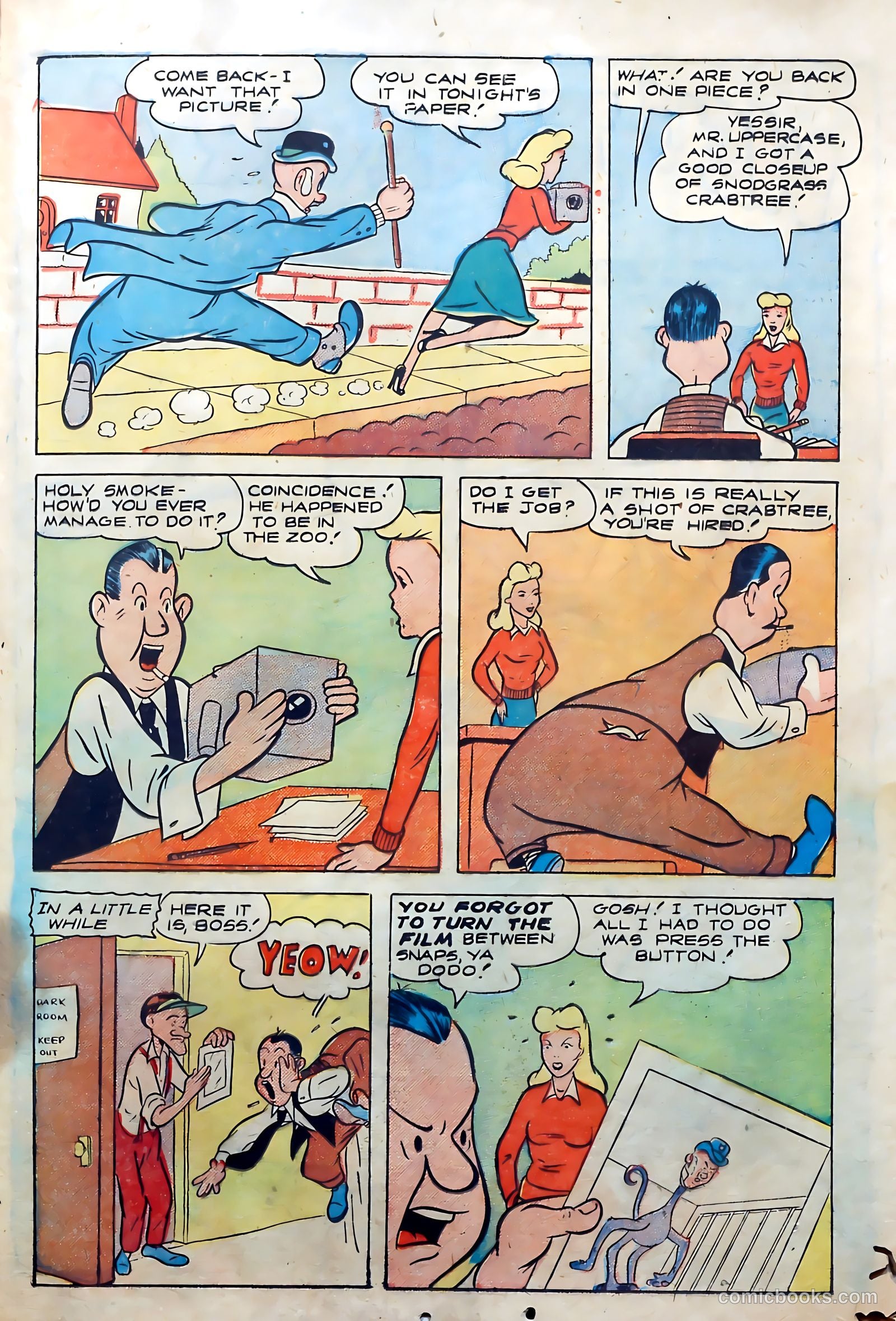 Zoot Comics #5 — page 23 of 36