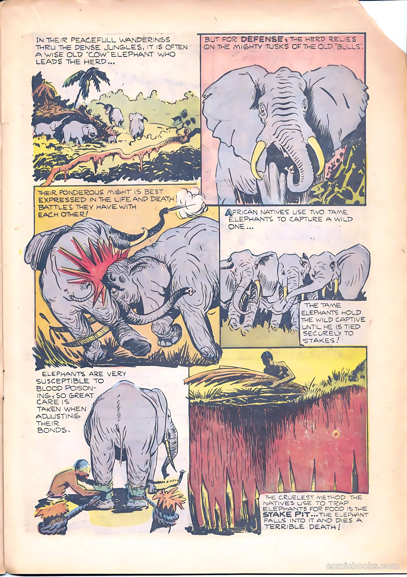Zoot Comics #8 — page 17 of 34