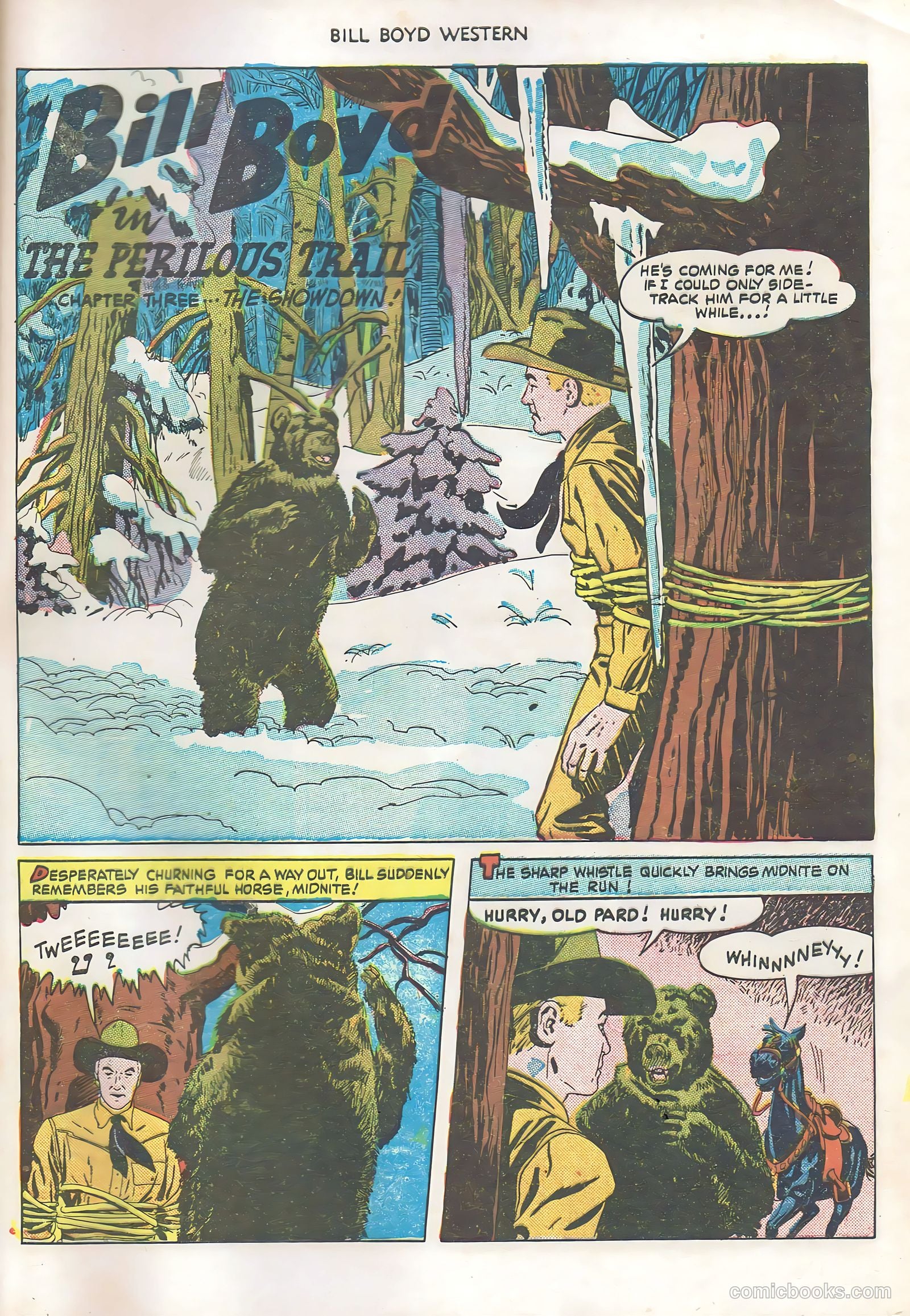 Bill Boyd Western #14 — page 29 of 36