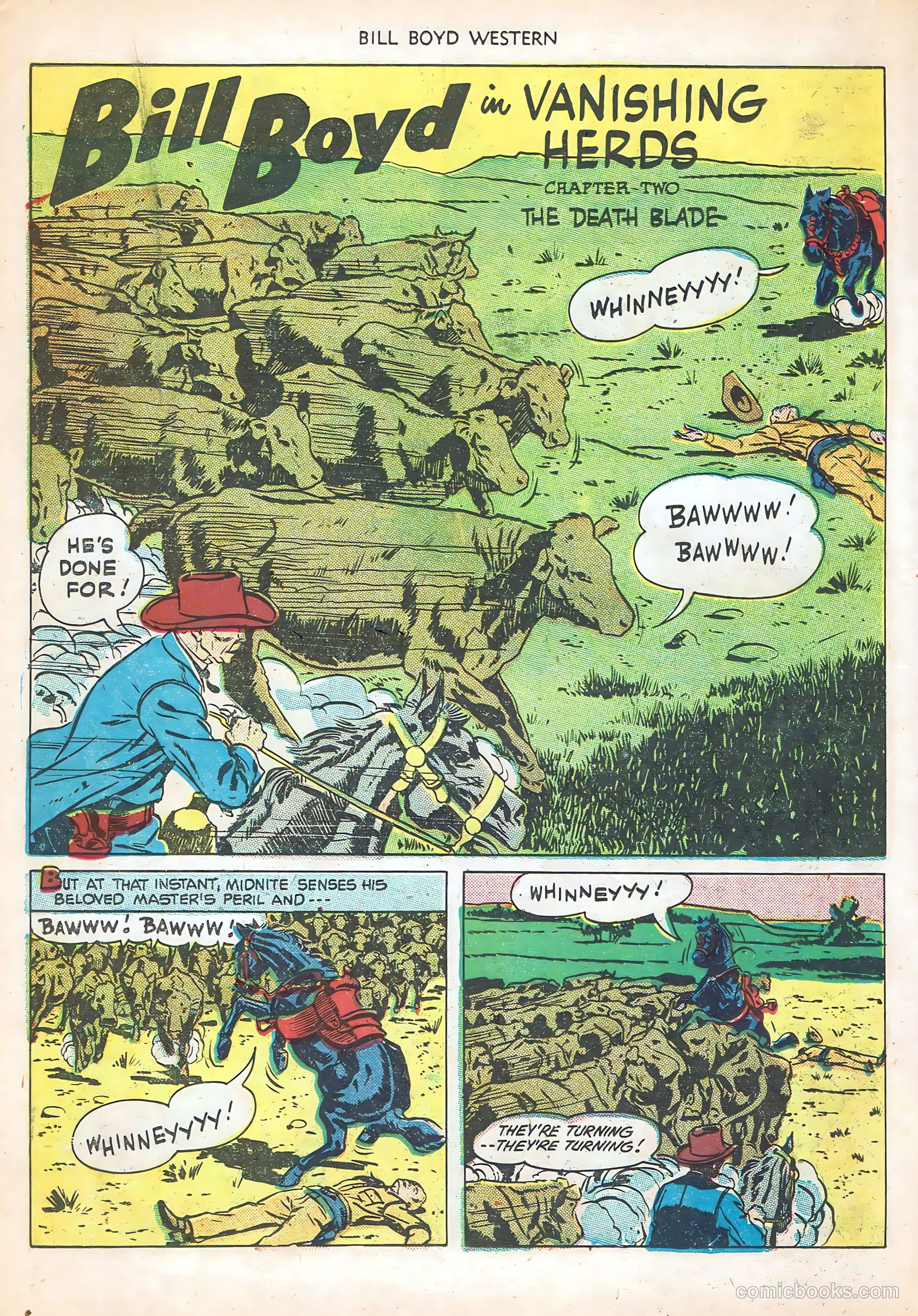 Bill Boyd Western #17 — page 18 of 36