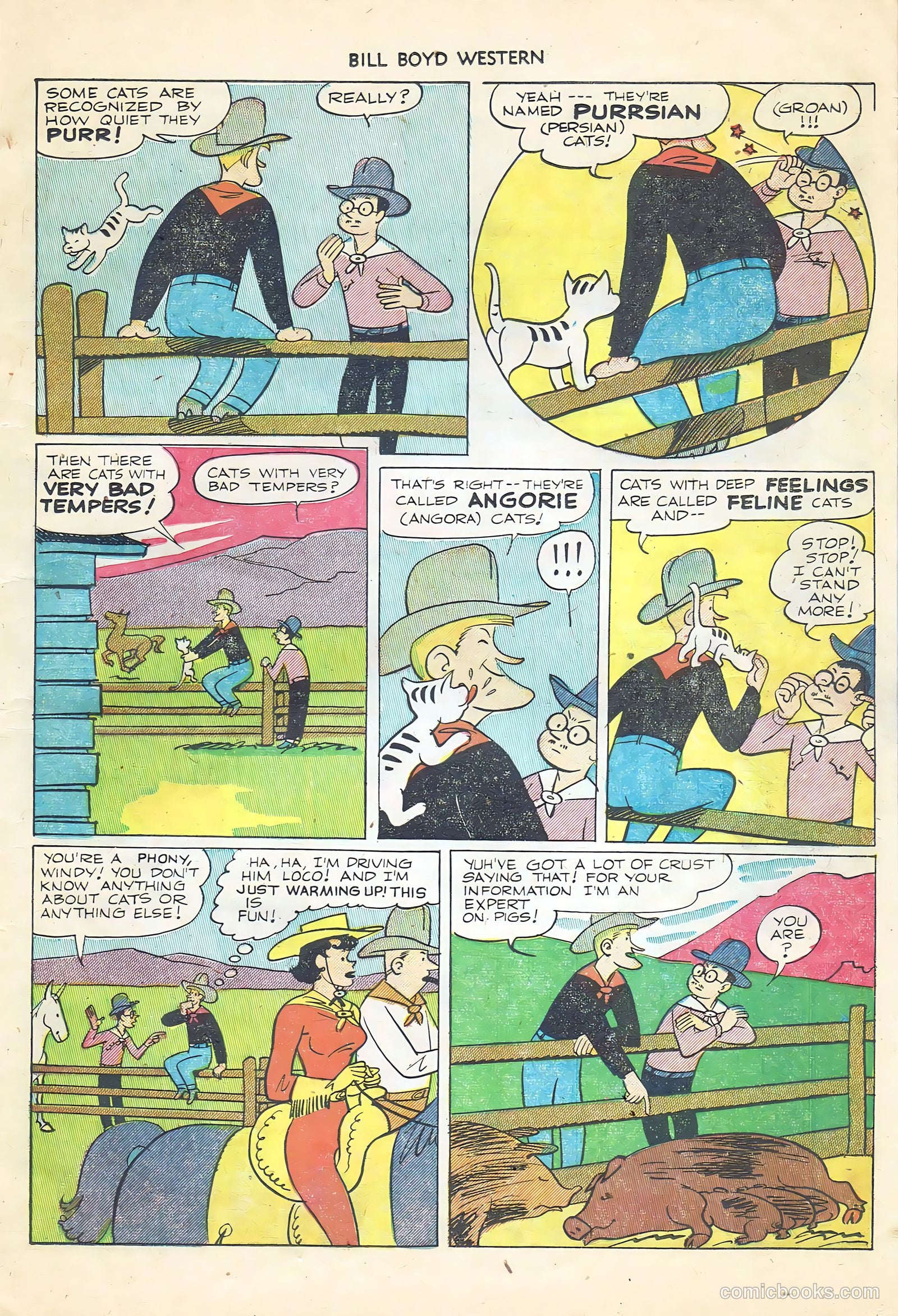 Bill Boyd Western #23 — page 13 of 36