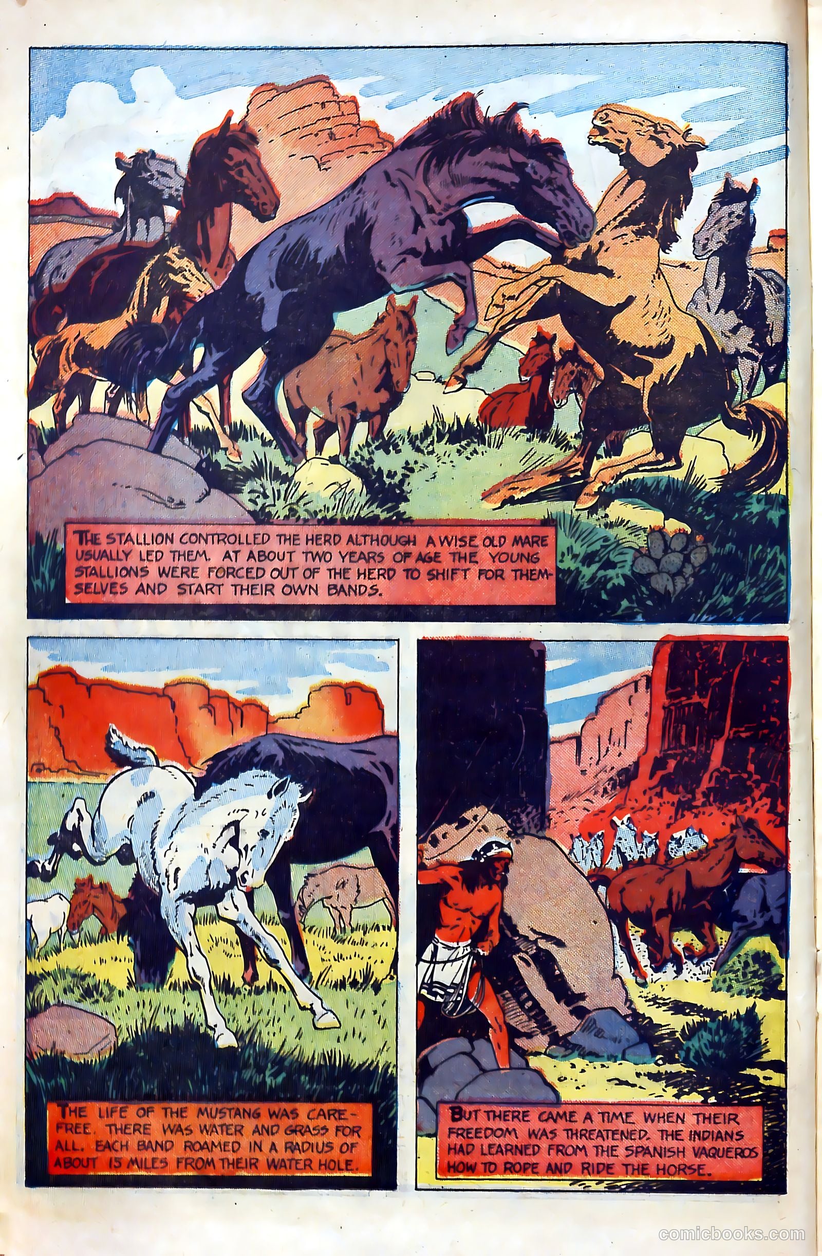 Billy the Kid Adventure Magazine #4 — page 14 of 36