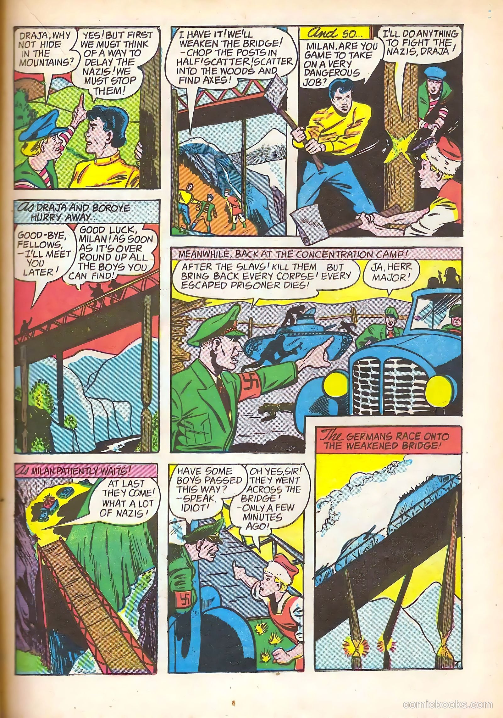 Black Cat #1 — page 31 of 52