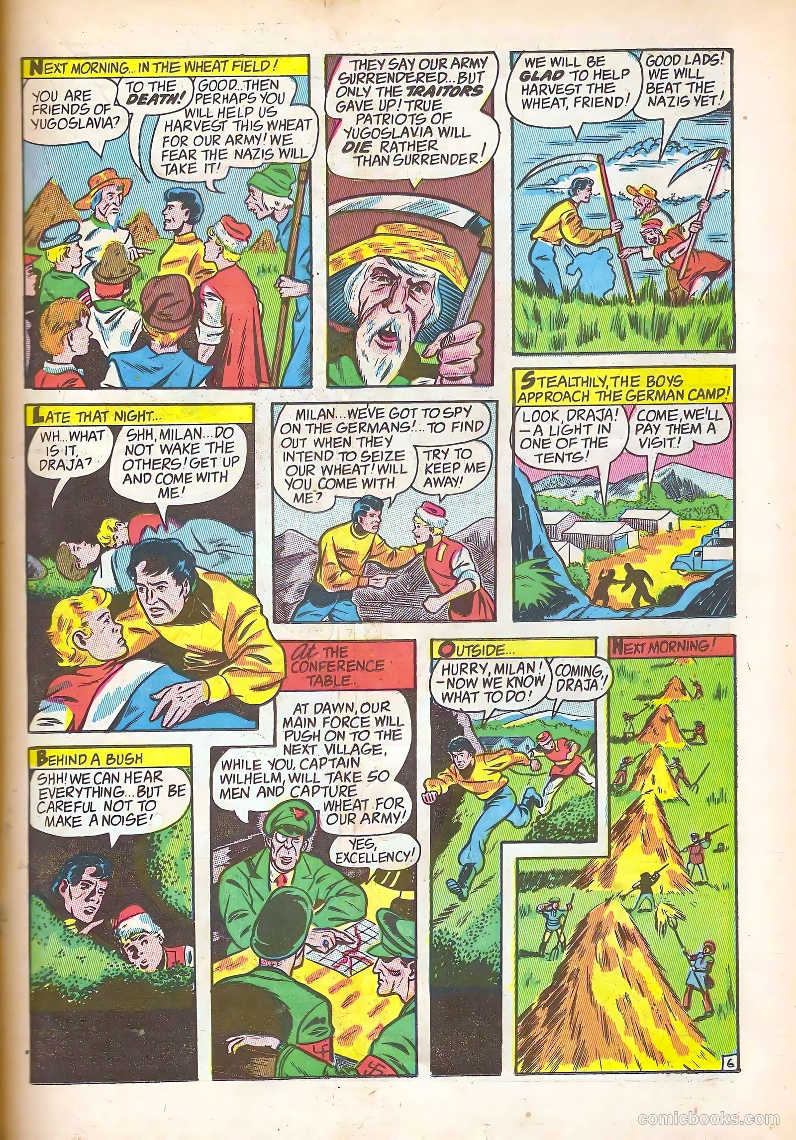Black Cat #1 — page 33 of 52