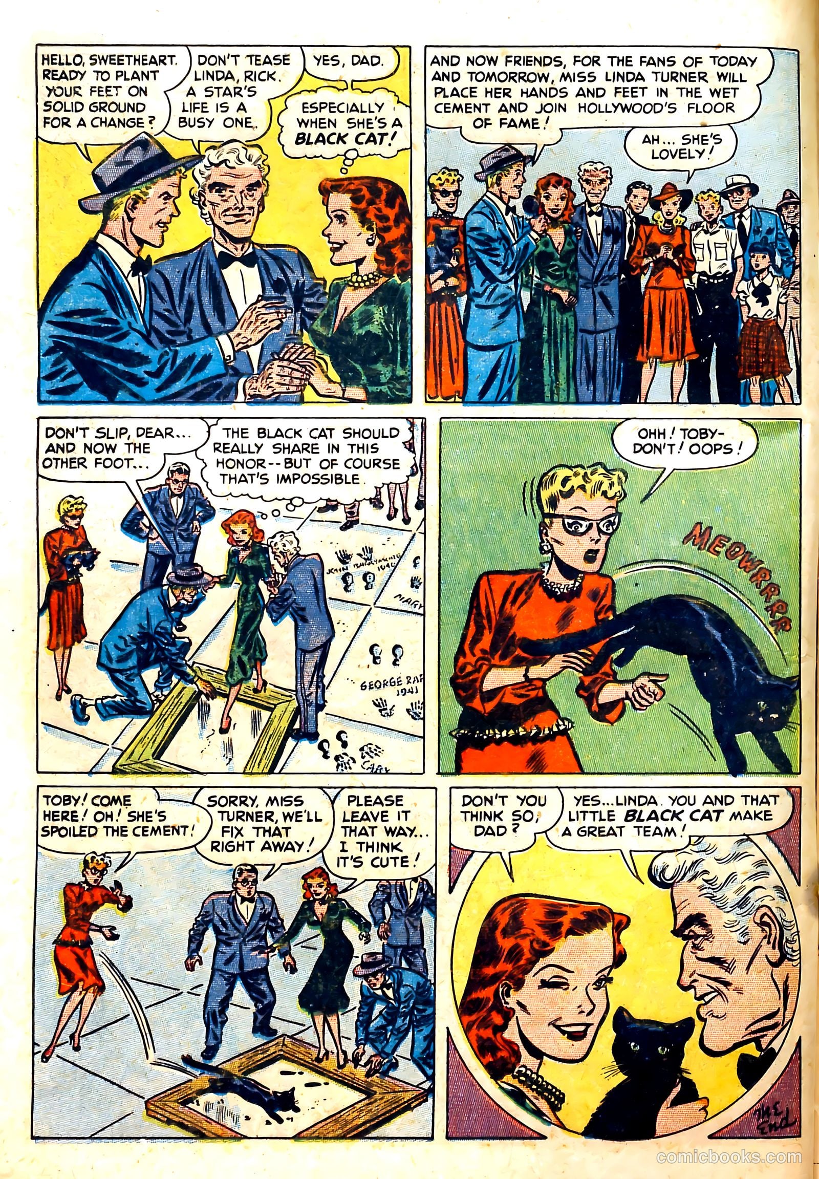 Black Cat #10 — page 16 of 52
