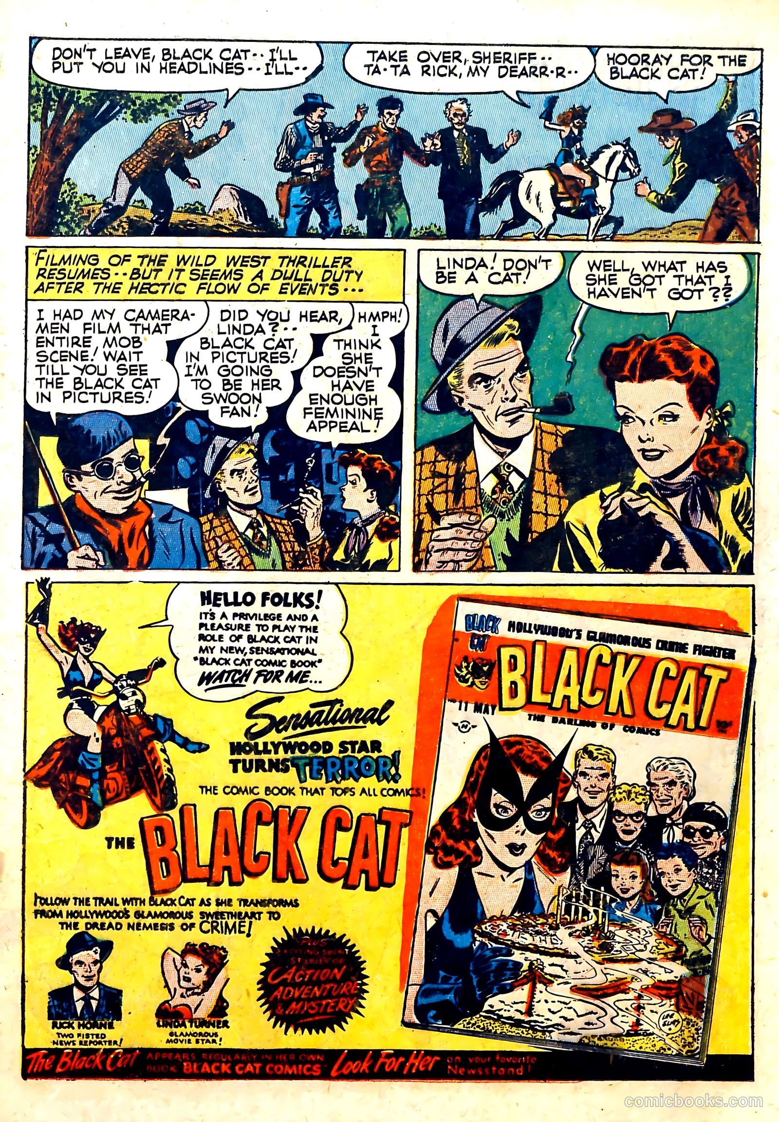 Black Cat #10 — page 25 of 52