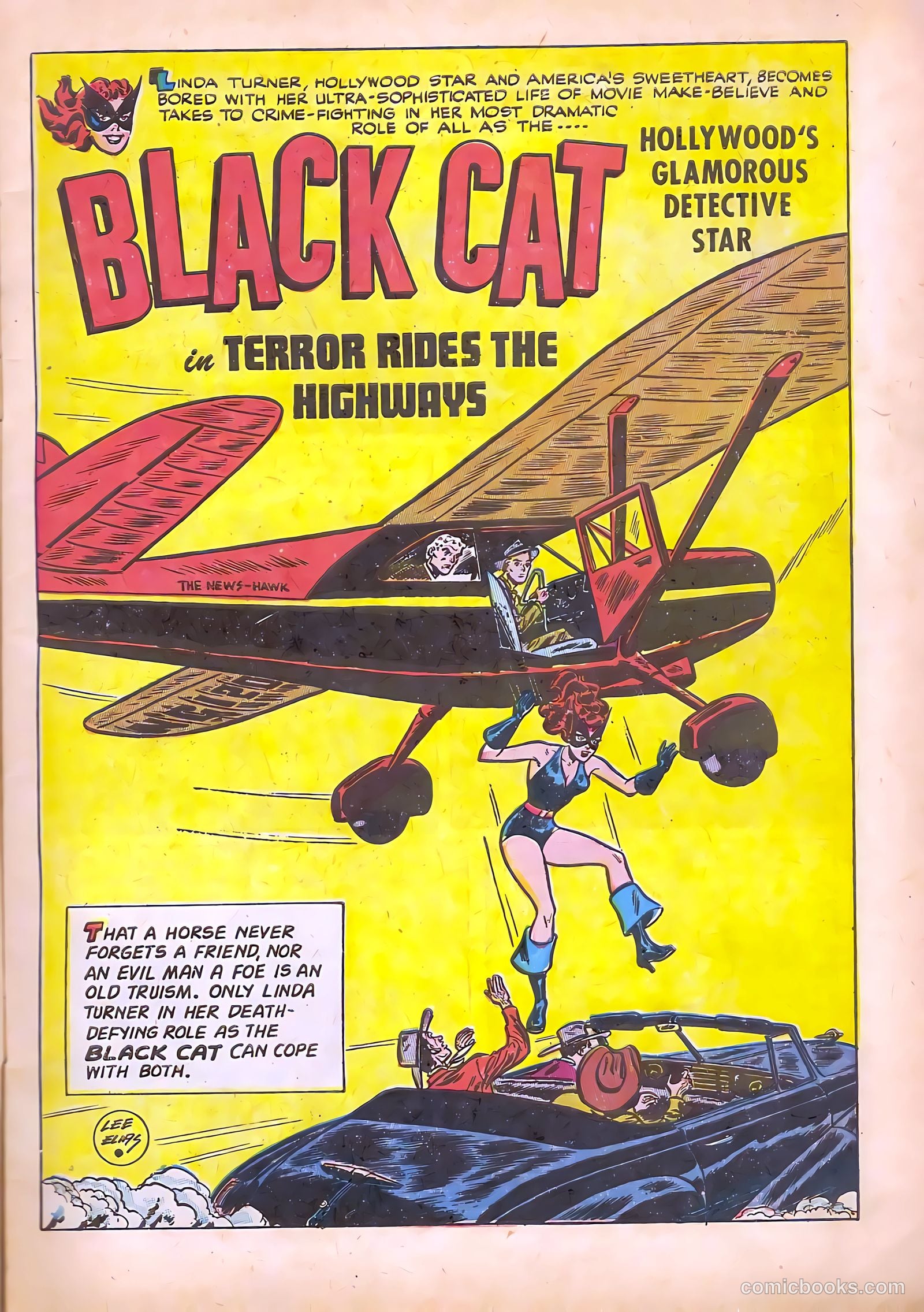 Black Cat #11 — page 5 of 52
