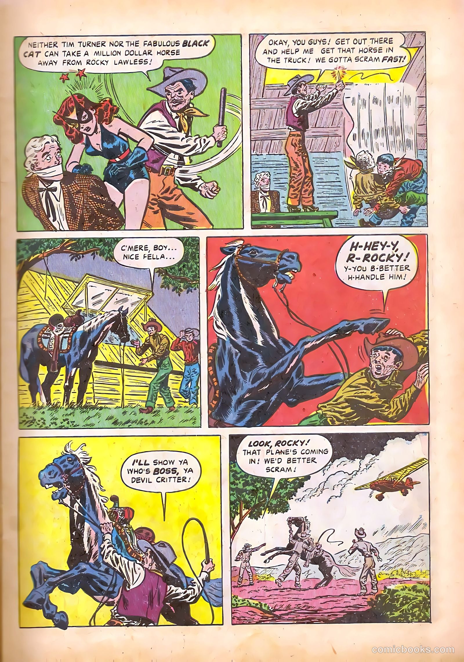 Black Cat #11 — page 11 of 52