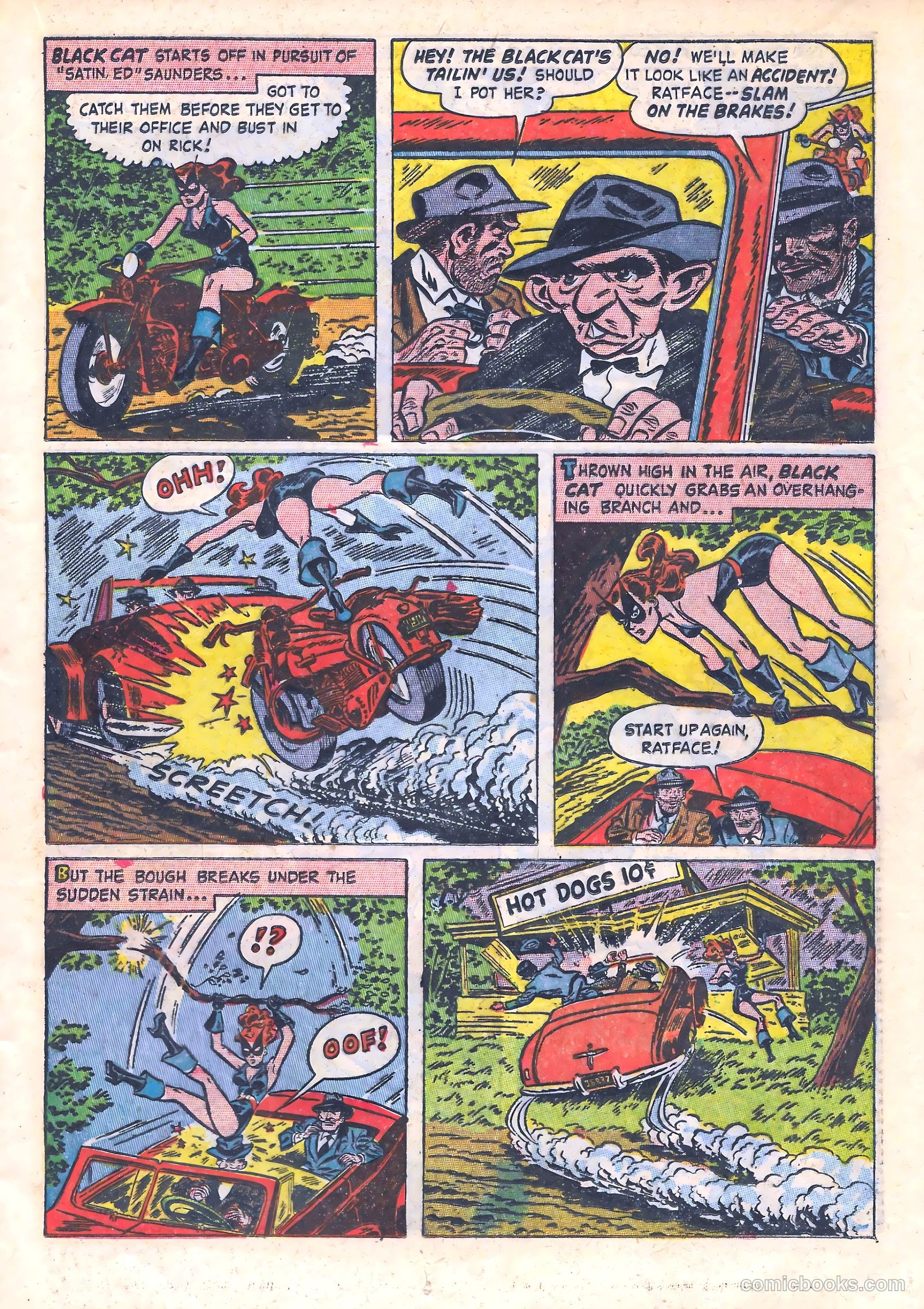 Black Cat #12 — page 17 of 51