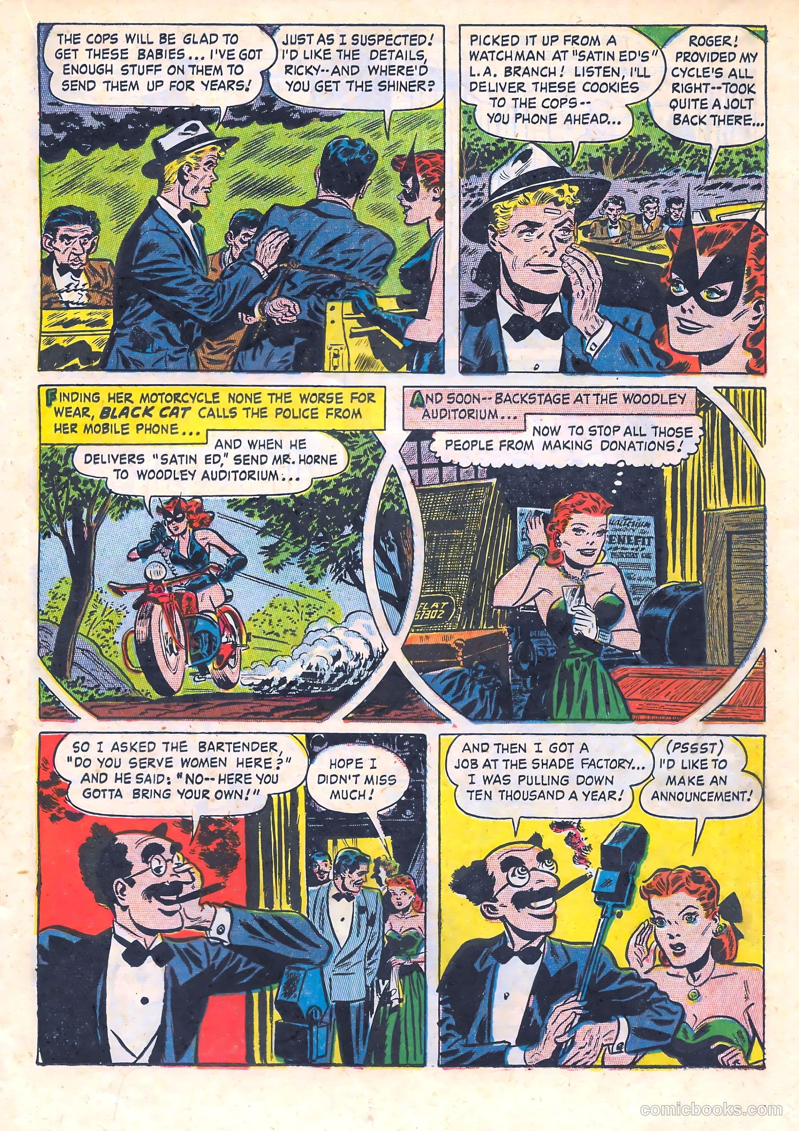 Black Cat #12 — page 19 of 51