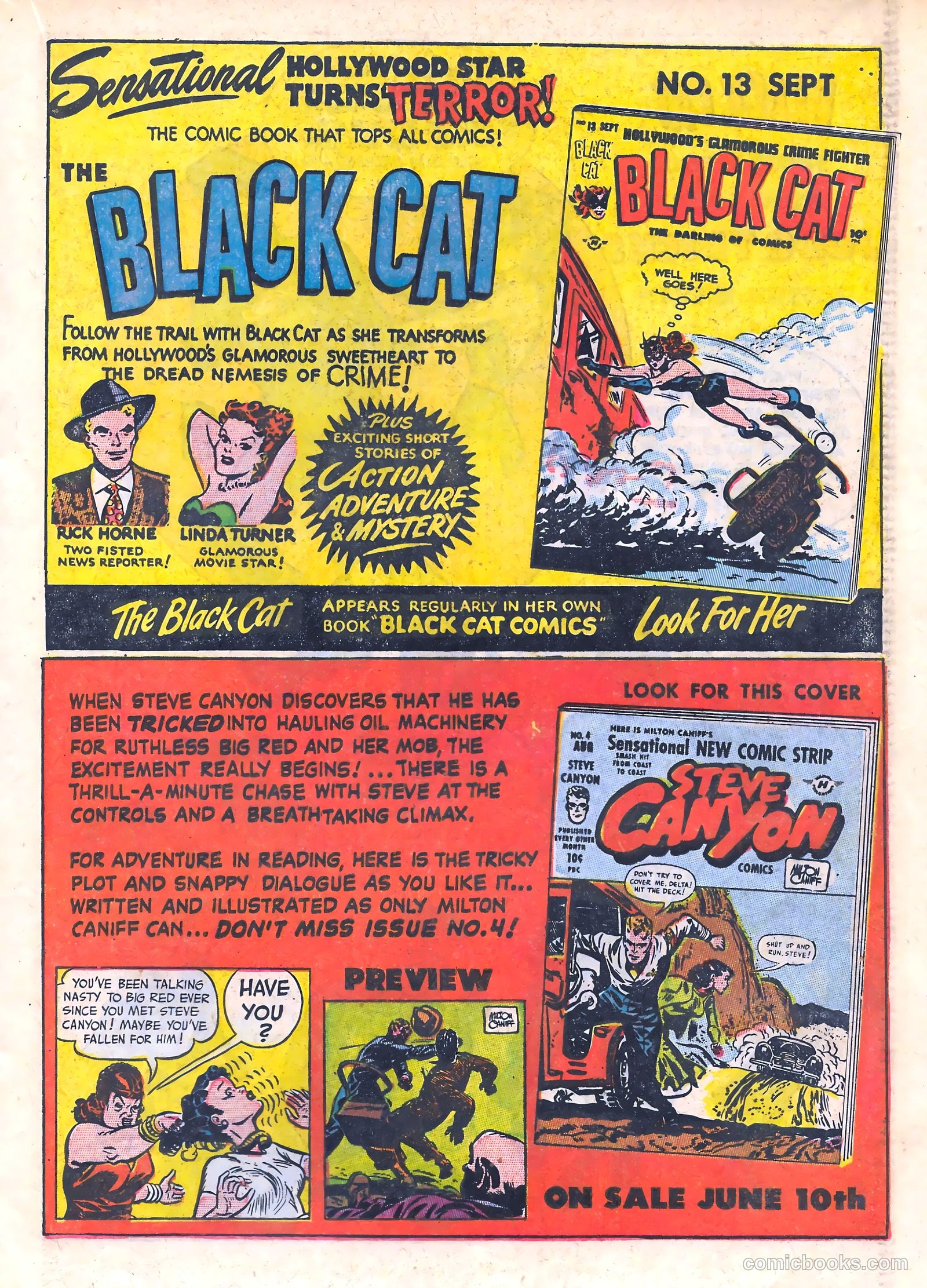 Black Cat #12 — page 21 of 51