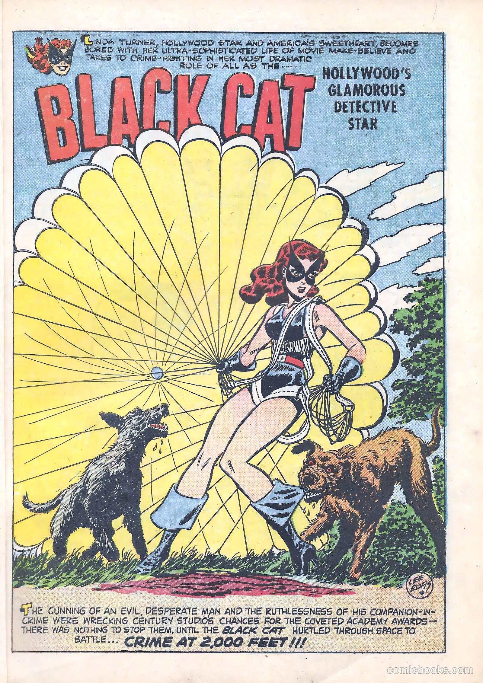 Black Cat #13 — page 6 of 53