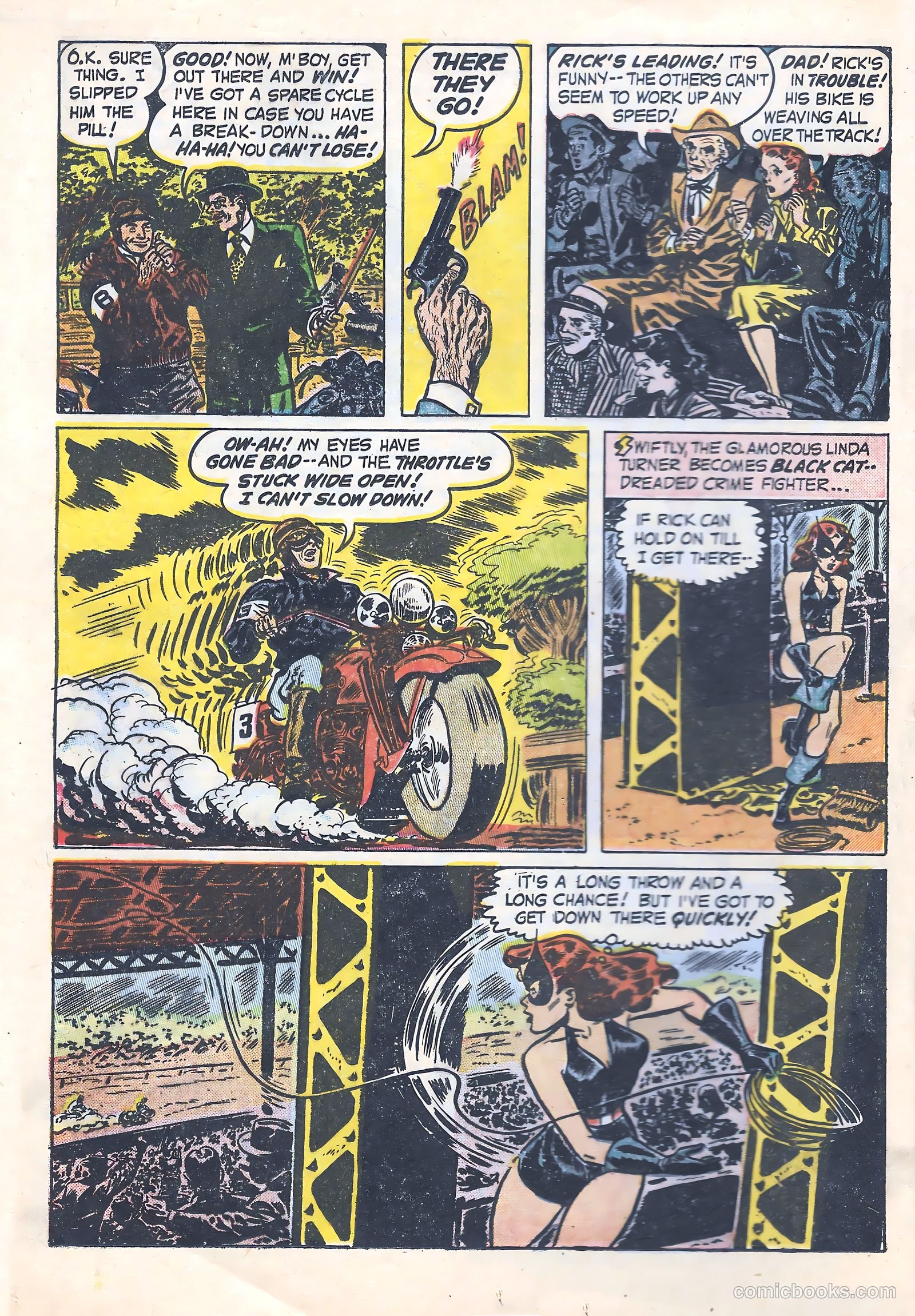Black Cat #13 — page 17 of 53