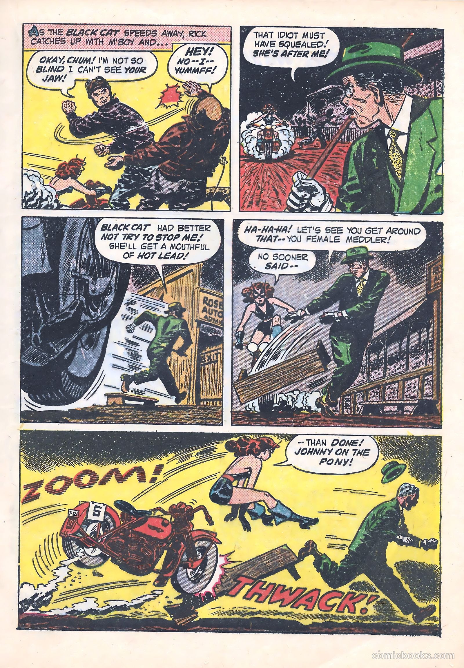 Black Cat #13 — page 20 of 53