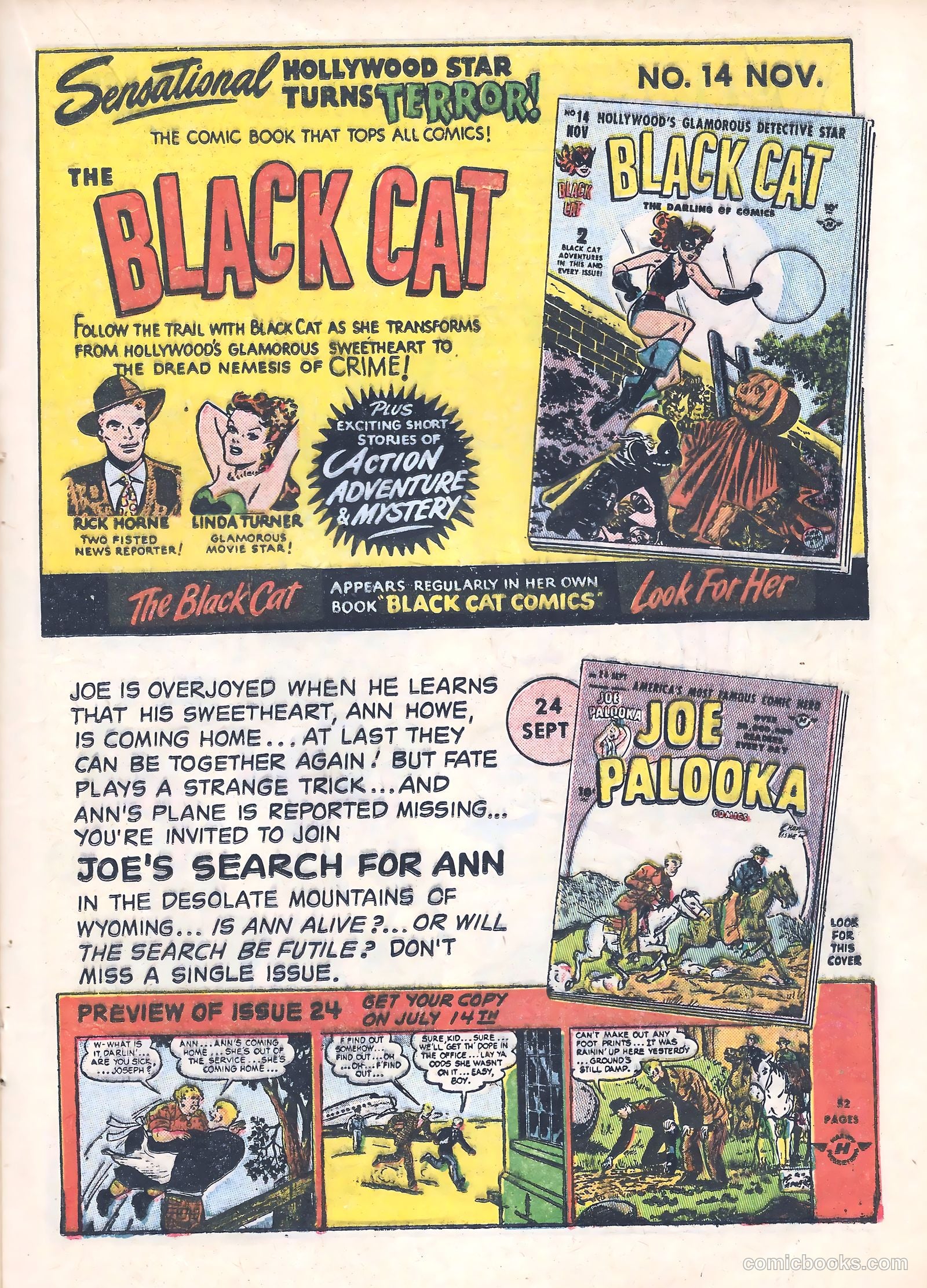 Black Cat #13 — page 24 of 53