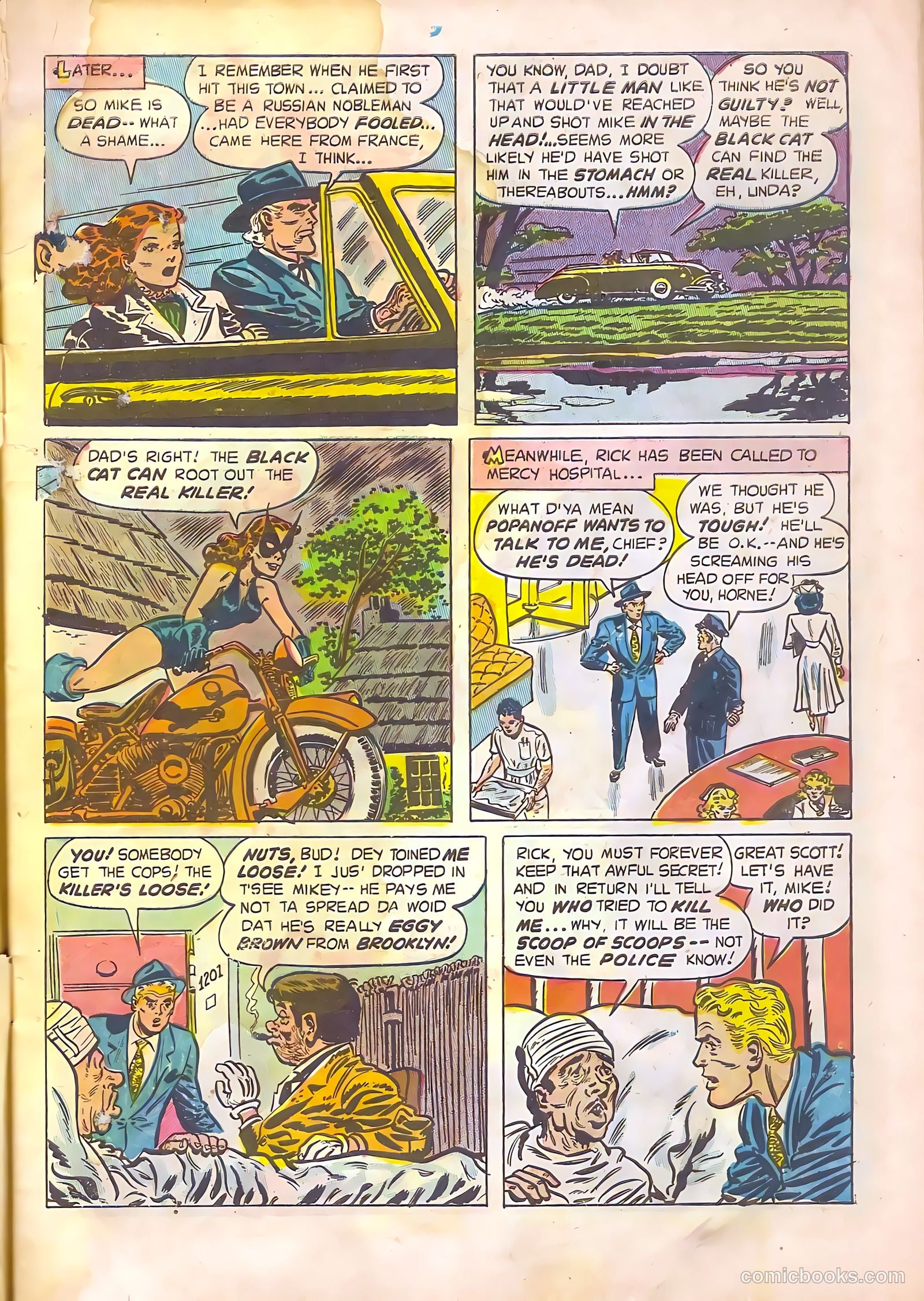 Black Cat #14 — page 9 of 52
