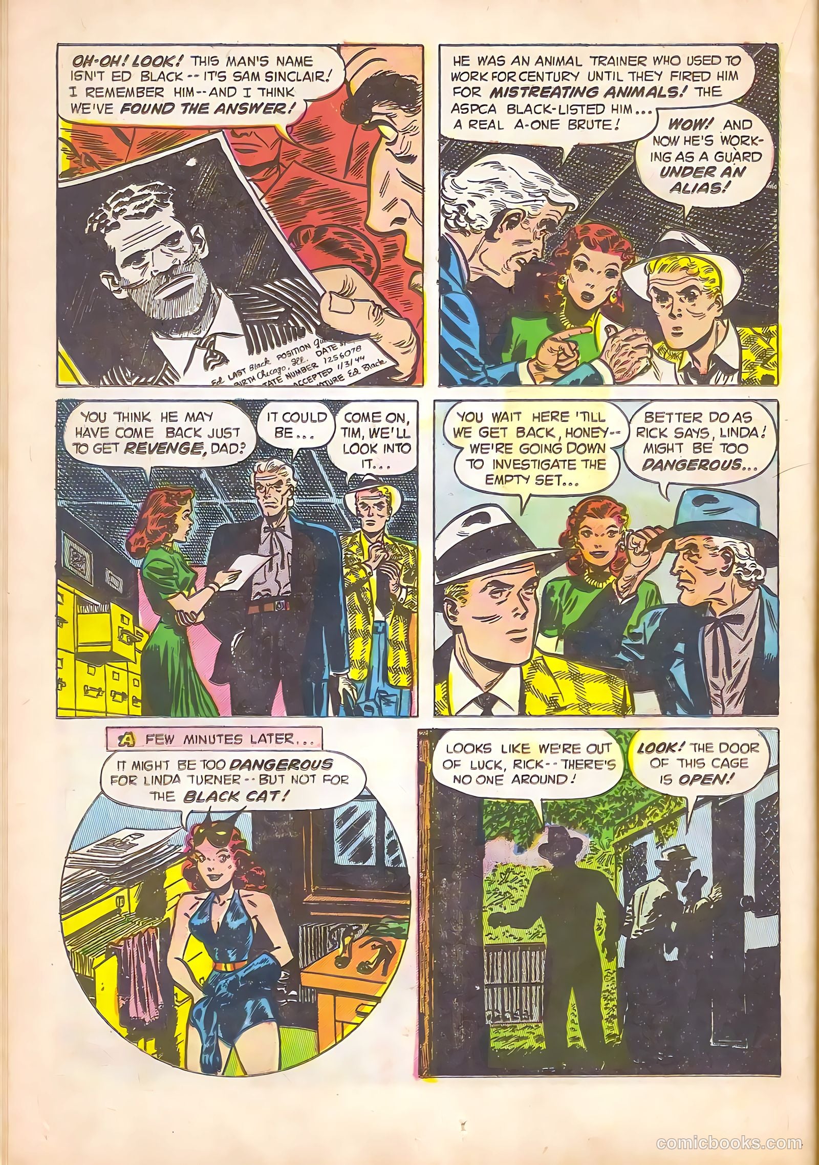 Black Cat #14 — page 18 of 52