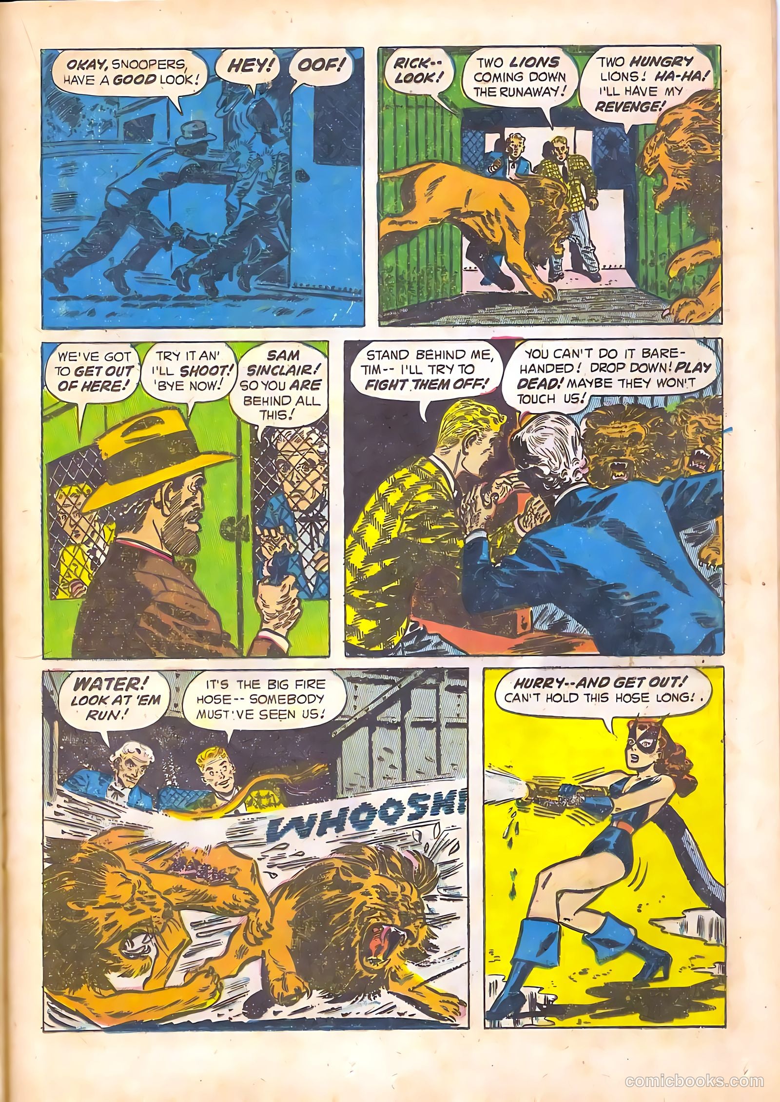 Black Cat #14 — page 19 of 52