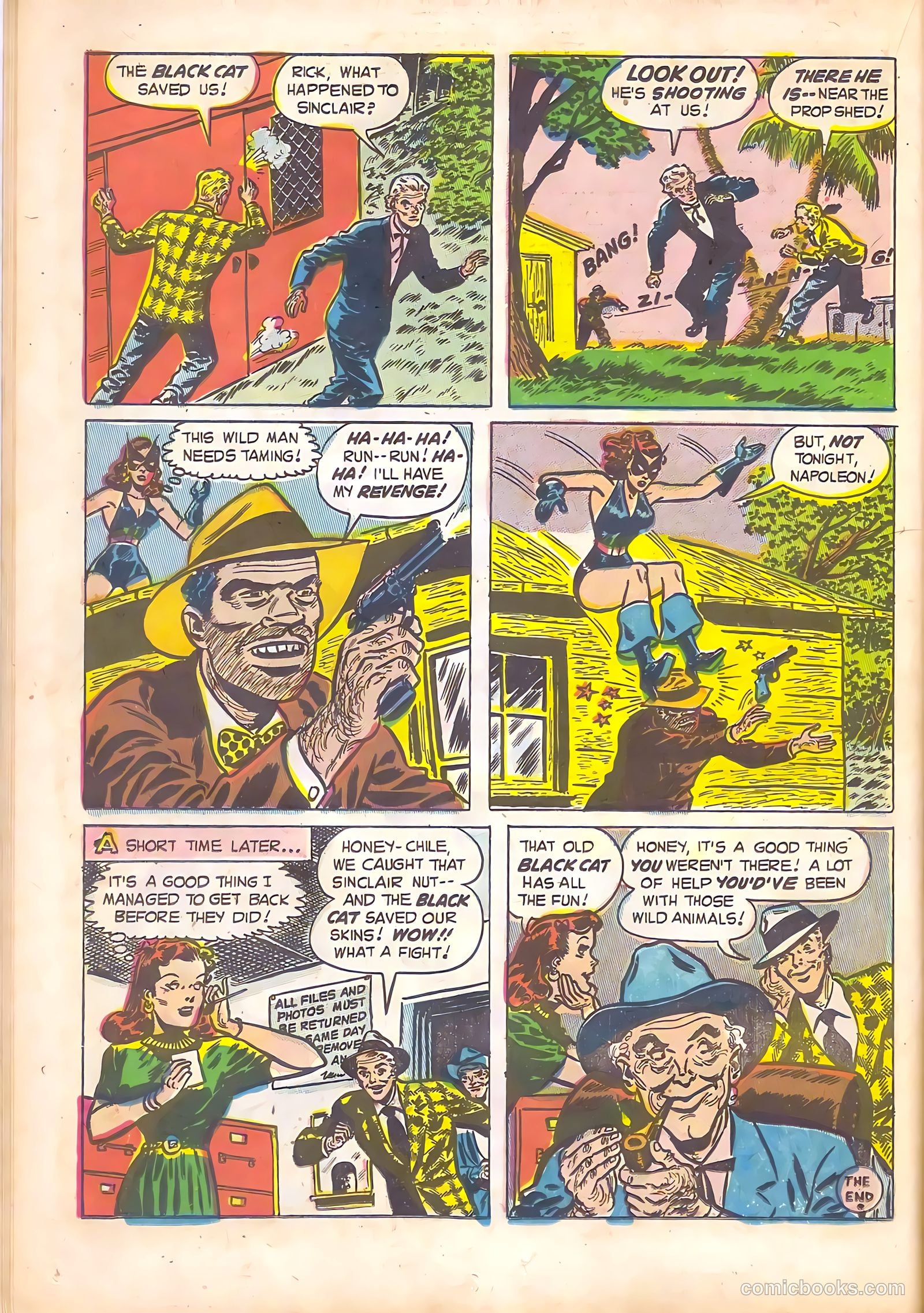 Black Cat #14 — page 20 of 52