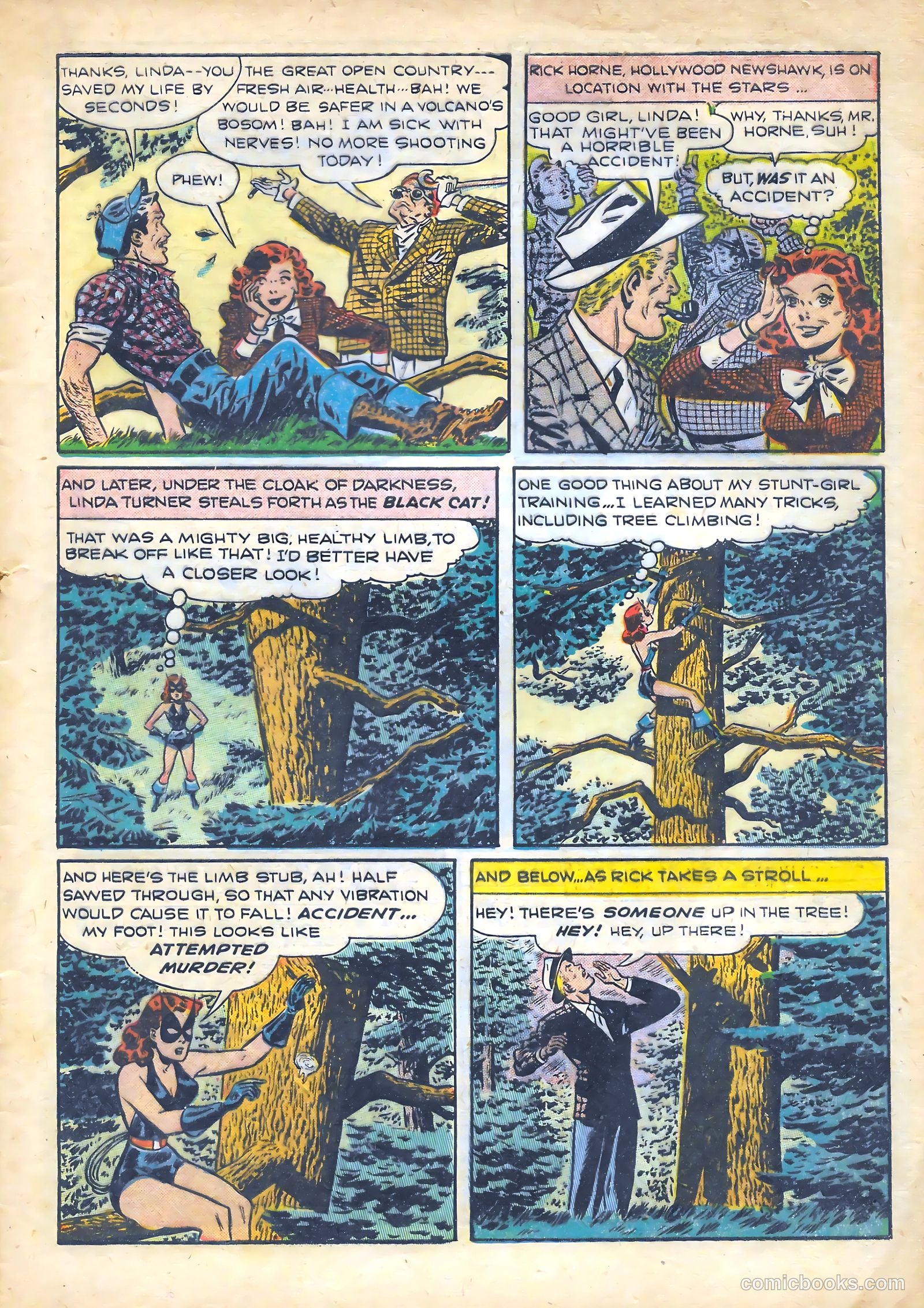 Black Cat #15 — page 7 of 52