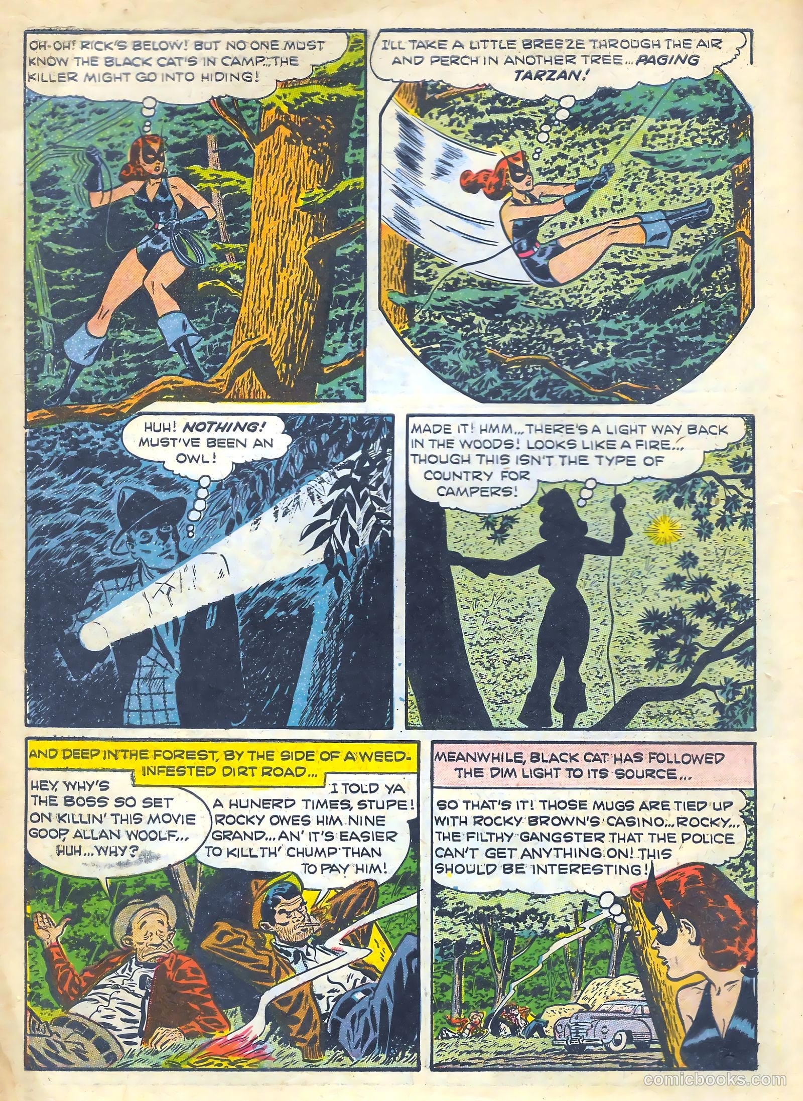 Black Cat #15 — page 8 of 52