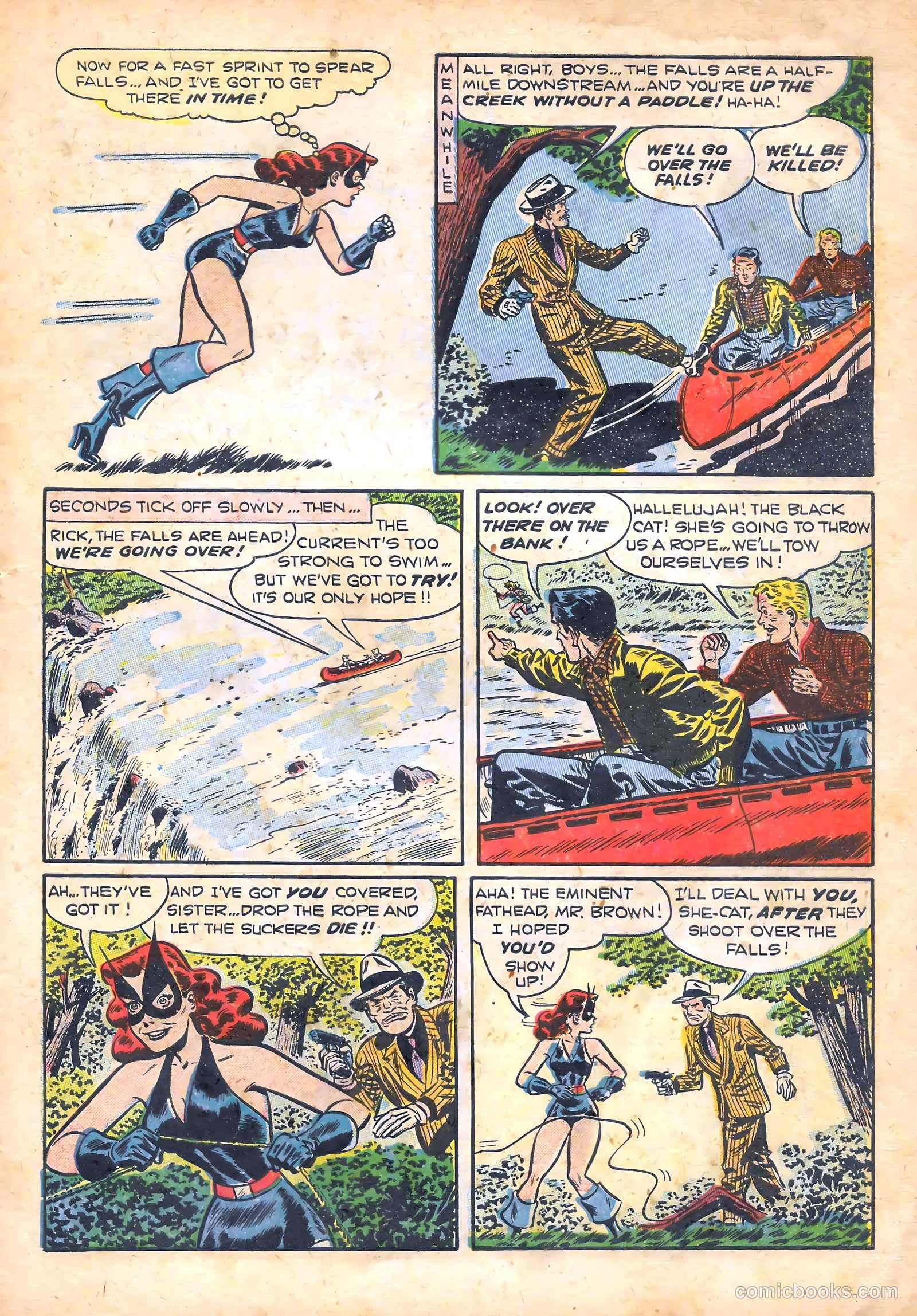 Black Cat #15 — page 11 of 52