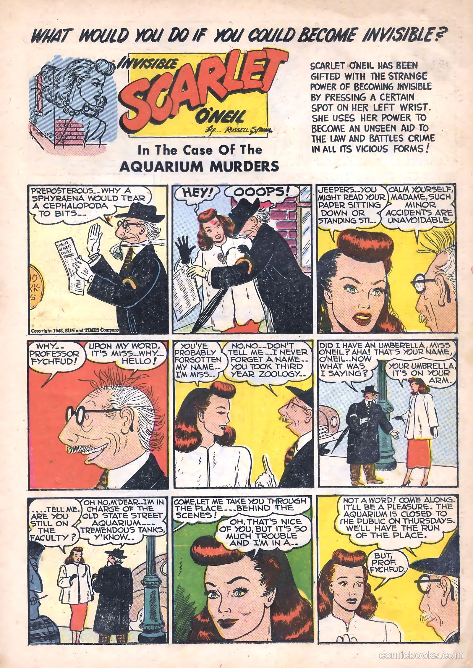 Black Cat #15 — page 15 of 52