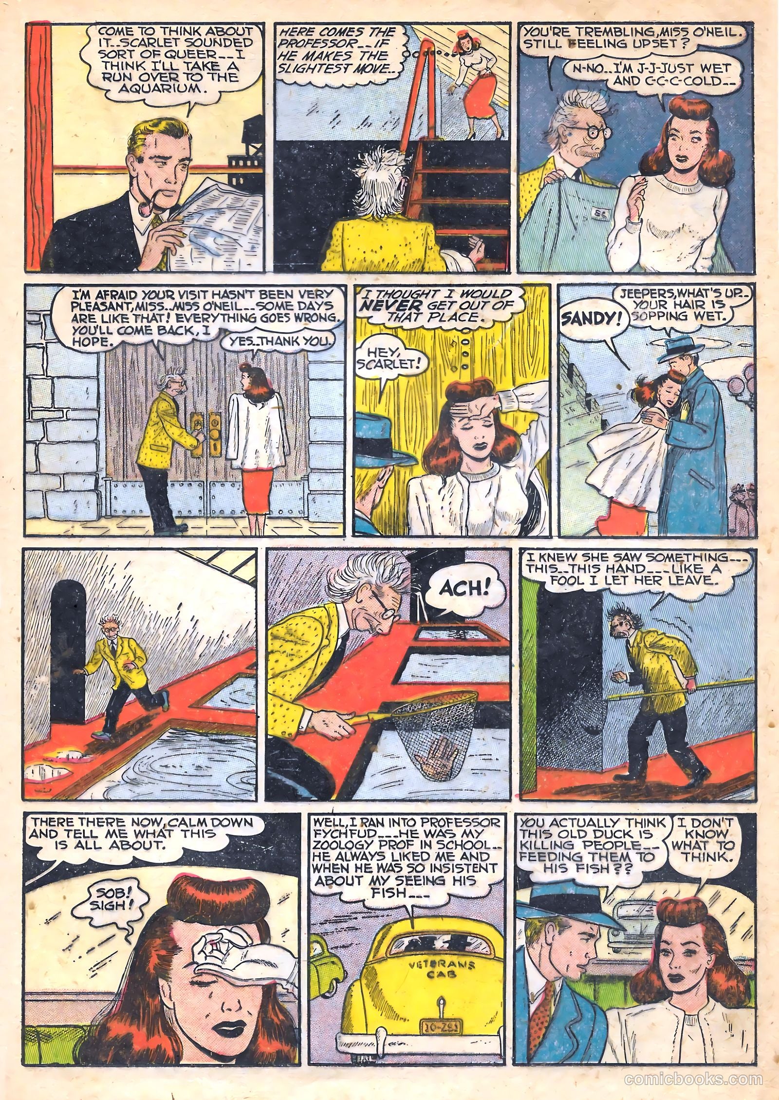 Black Cat #15 — page 19 of 52
