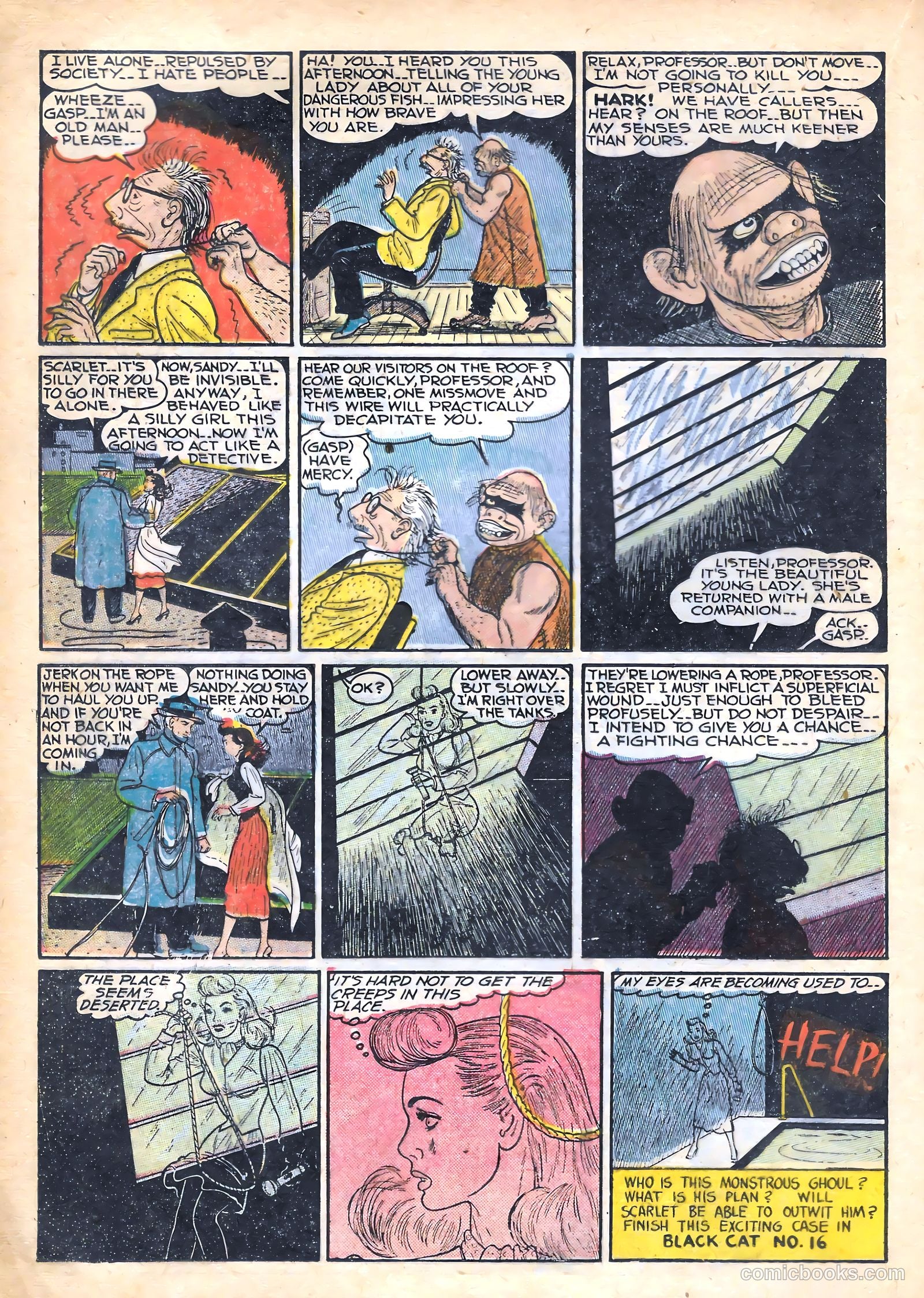 Black Cat #15 — page 22 of 52