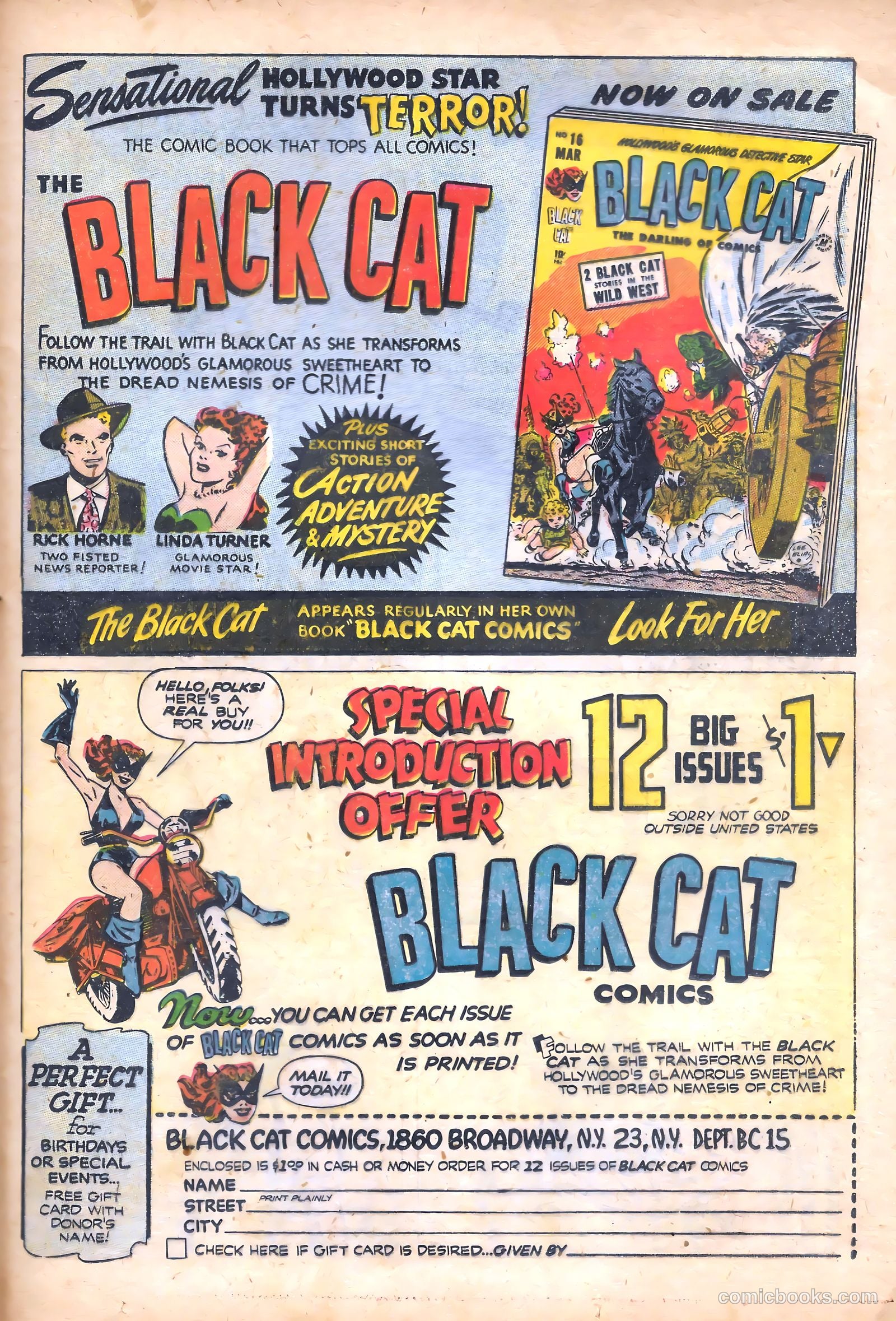 Black Cat #15 — page 37 of 52