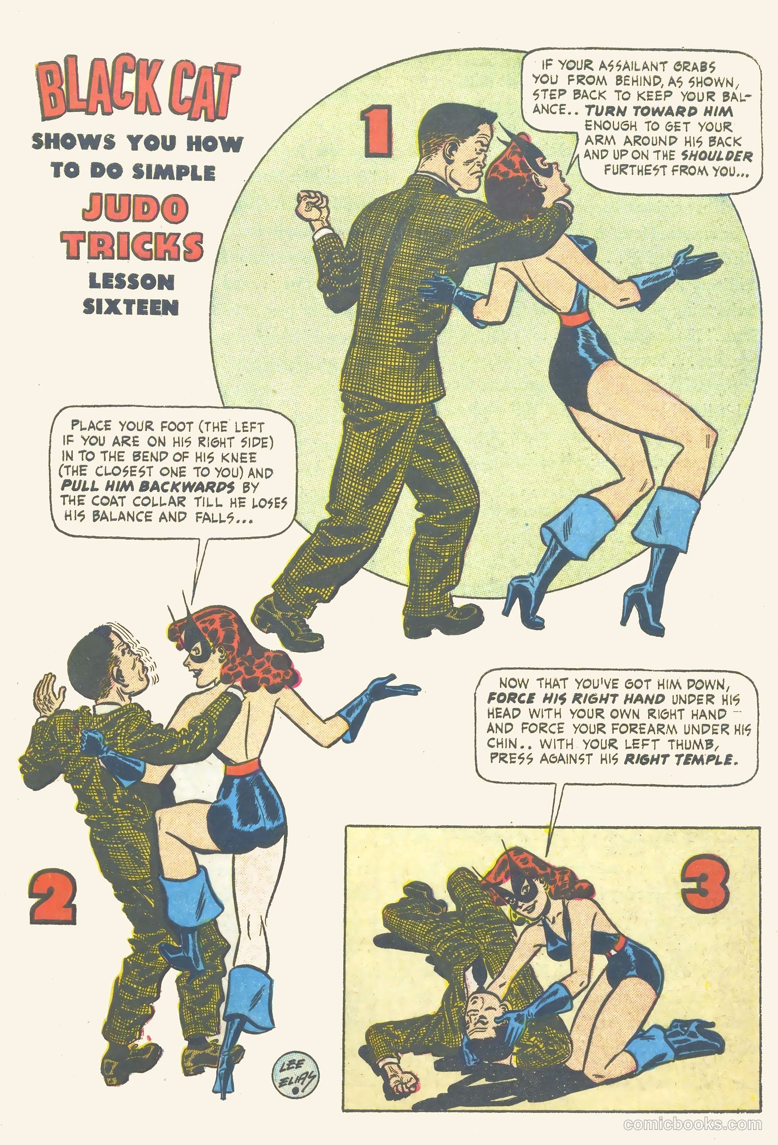 Black Cat #16 — page 13 of 52