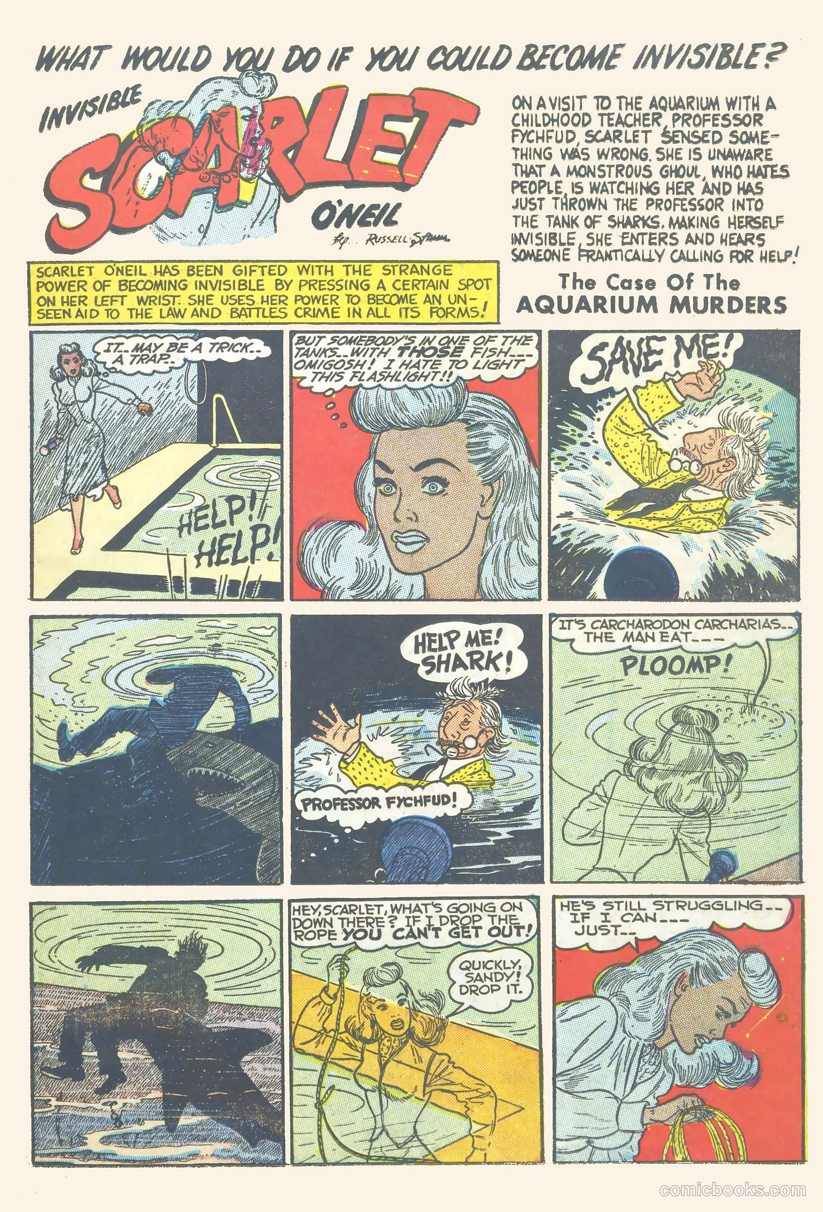 Black Cat #16 — page 15 of 52