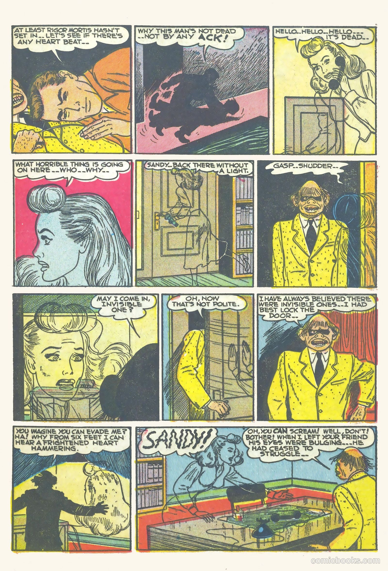 Black Cat #16 — page 17 of 52
